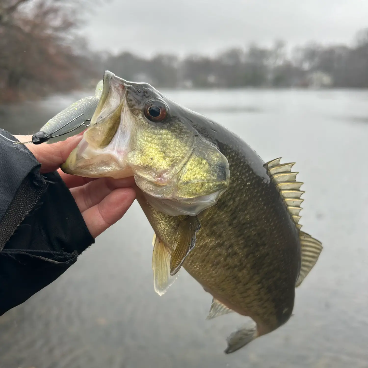 ᐅ Lake Rogerene fishing reports🎣• Roxbury, NJ (United States) fishing