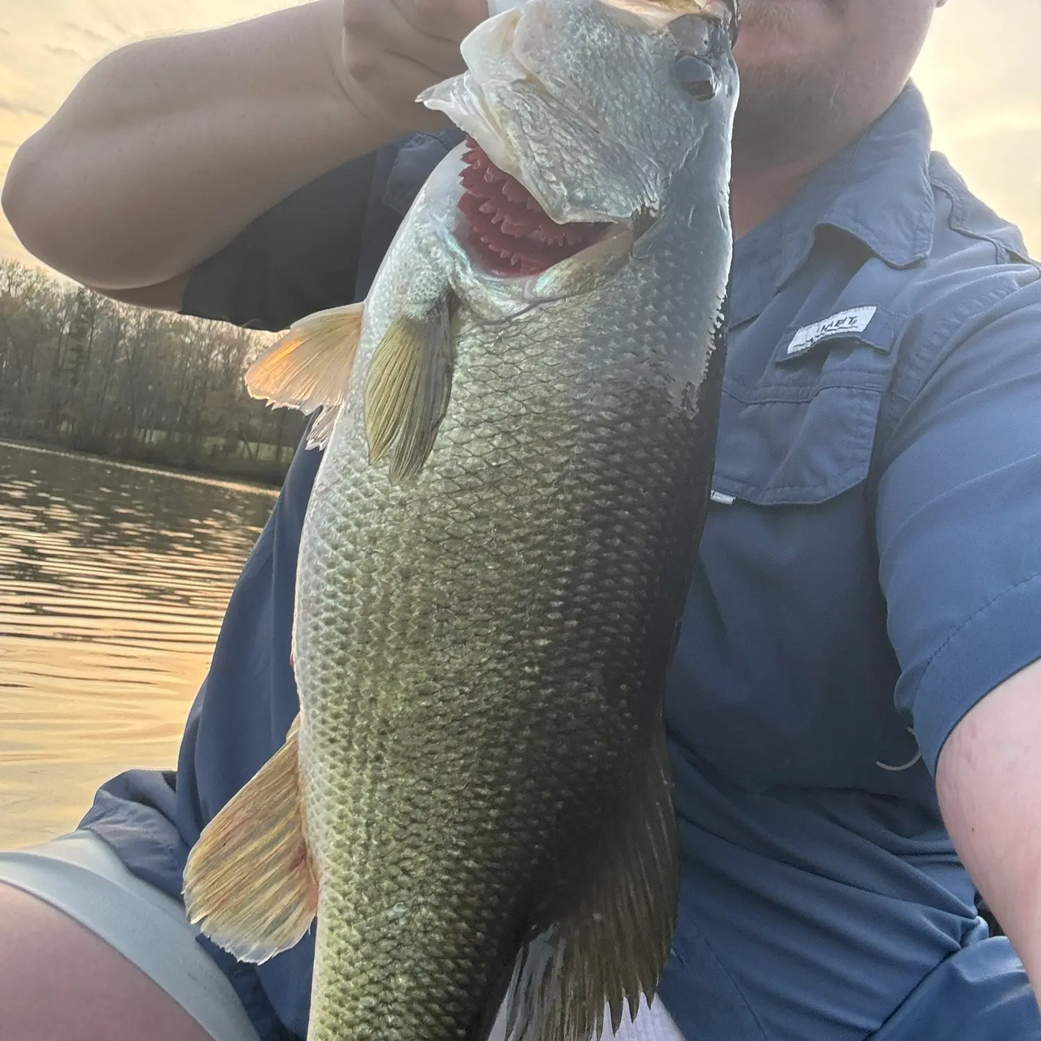 ᐅ Boy Scout Lake fishing reports🎣• Reidsville, NC (United States