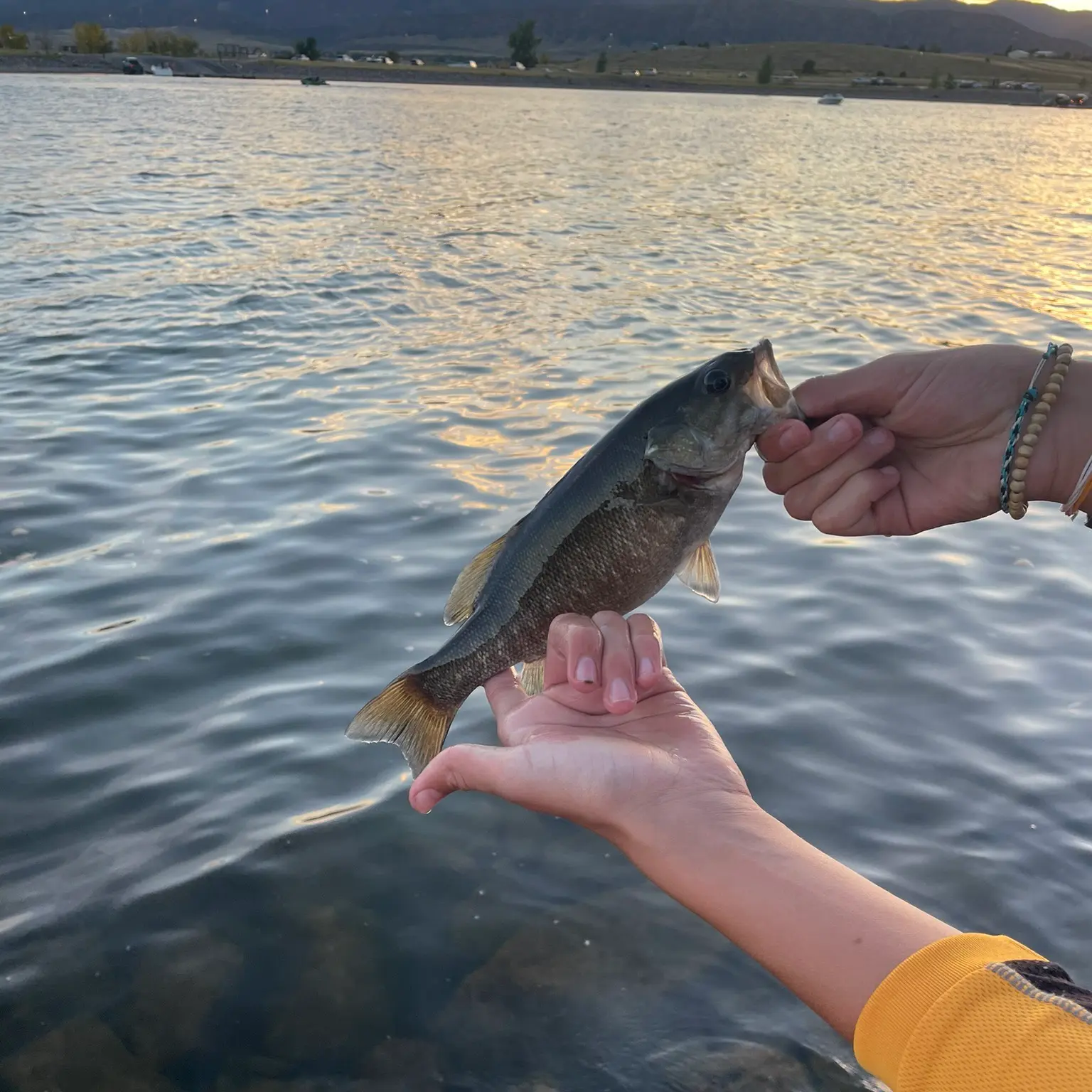 ᐅ Plum Creek fishing reports🎣• Columbine, CO (United States) fishing