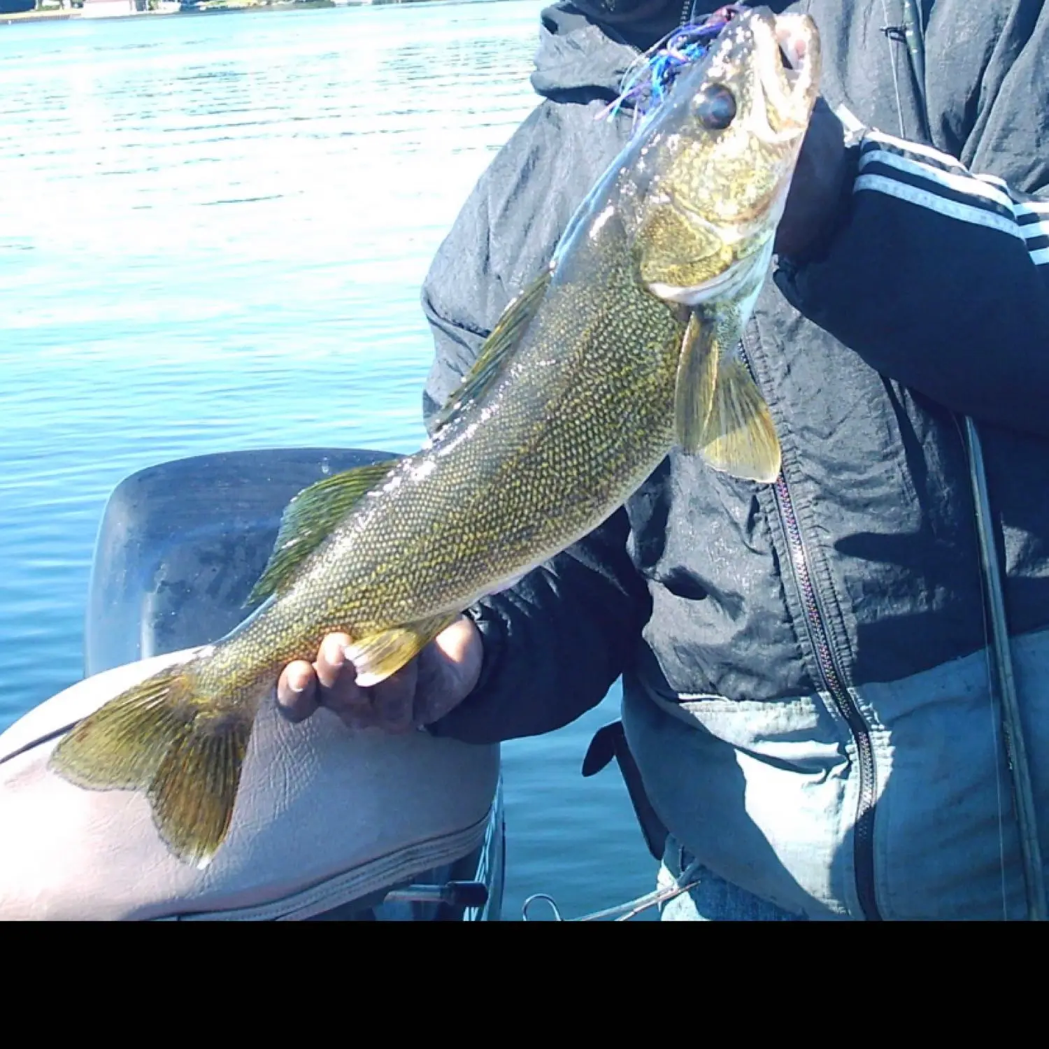 ᐅ Lake Muskoka fishing reports🎣• Ontario, Canada fishing