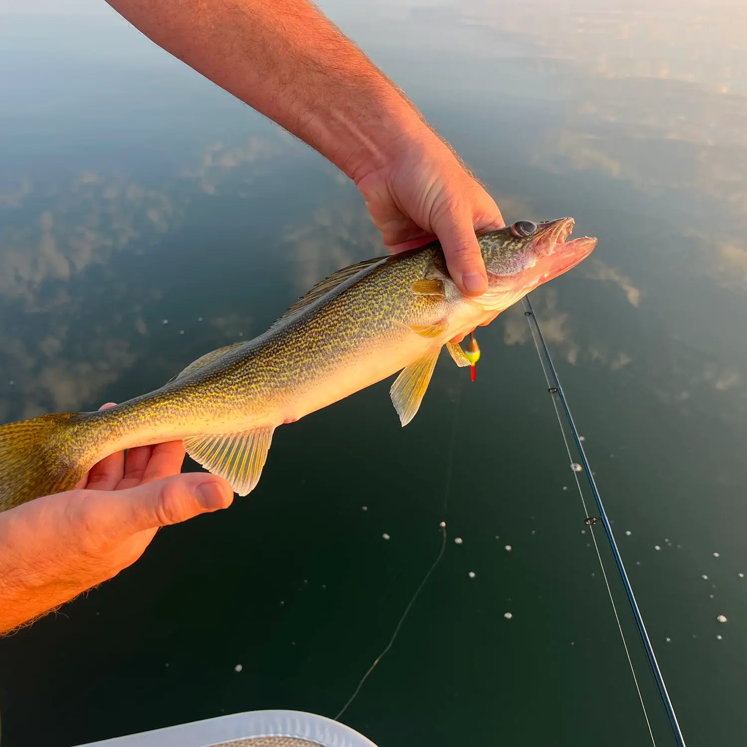 5 Things to Know About Fishing in Otsego County - Gaylord Michigan