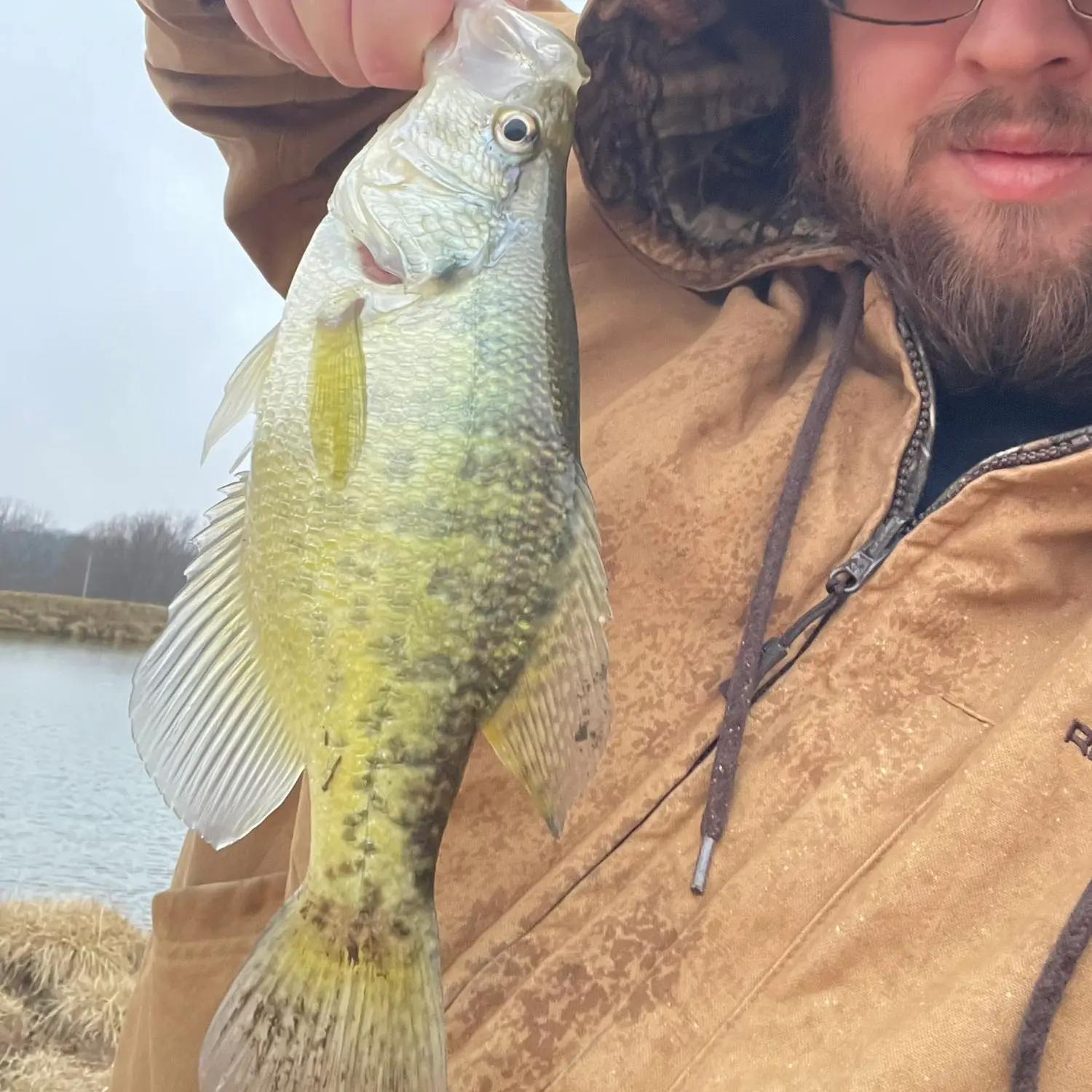 ᐅ Osawatomie Lake fishing reports🎣• Ottawa, KS (United States) fishing