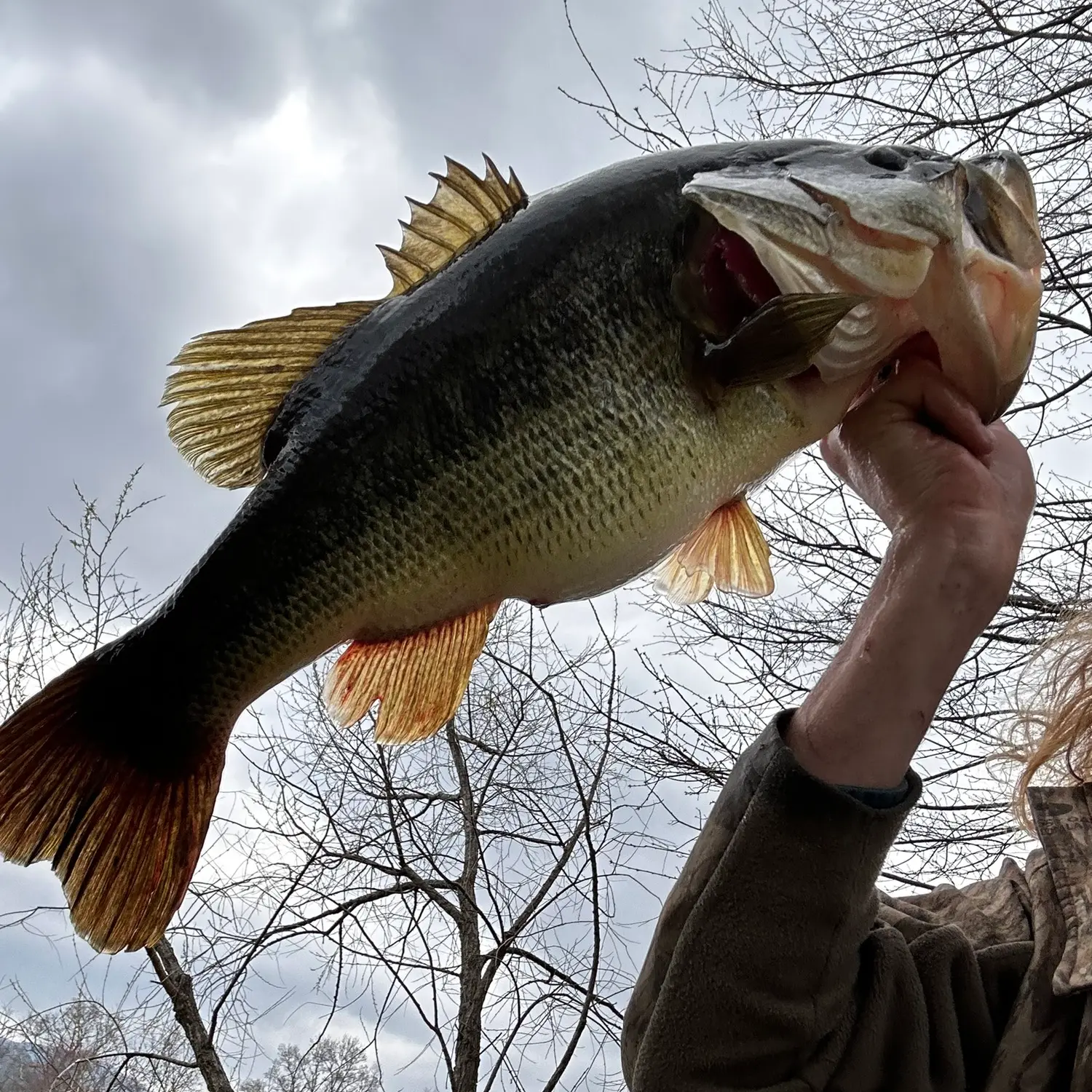 Charles D. Owen District Park fishing reports Asheville NC