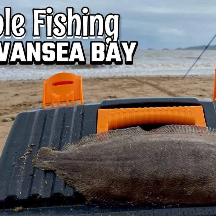 Swansea bay  World Sea Fishing Forums