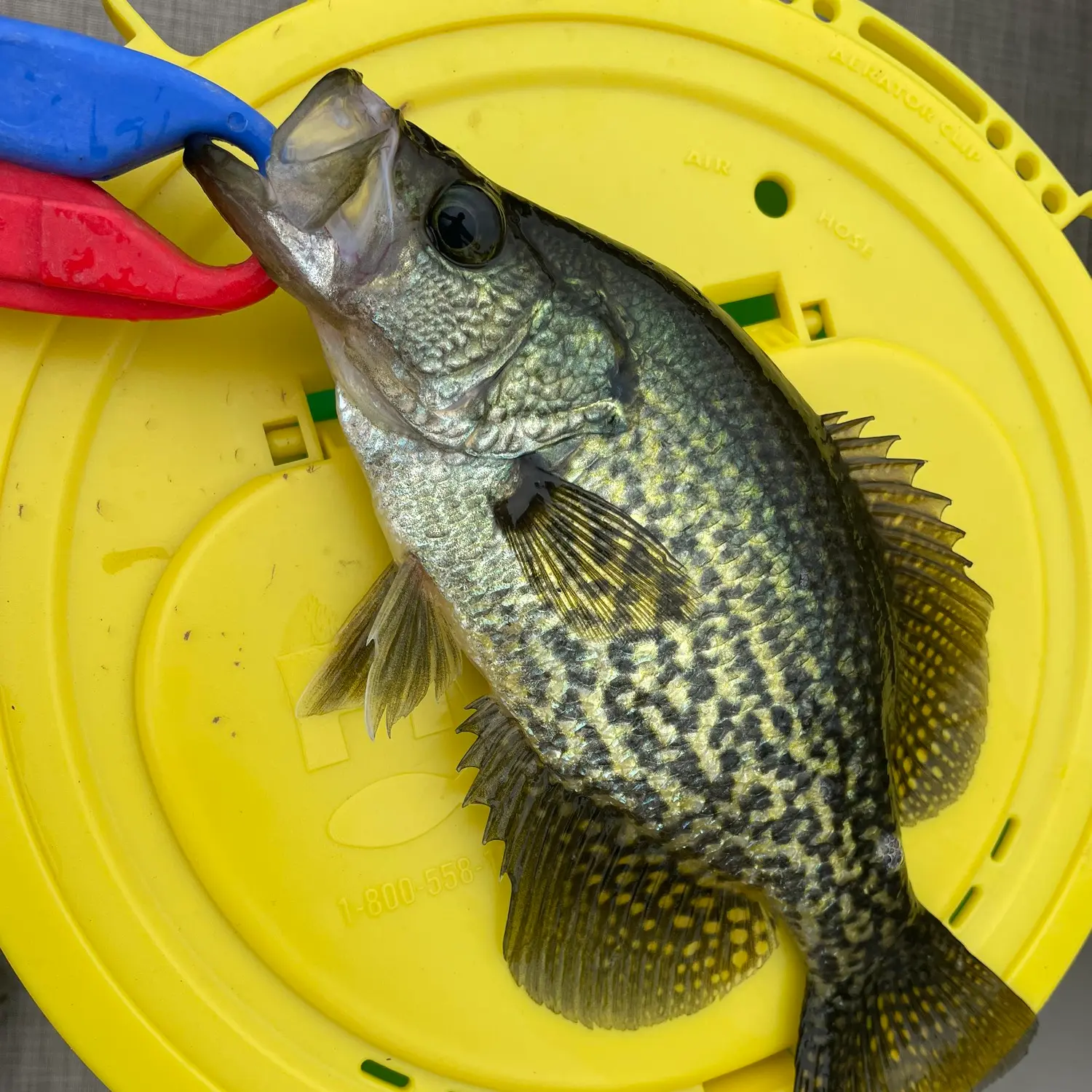 DEER POINT LAKE Fishing Map