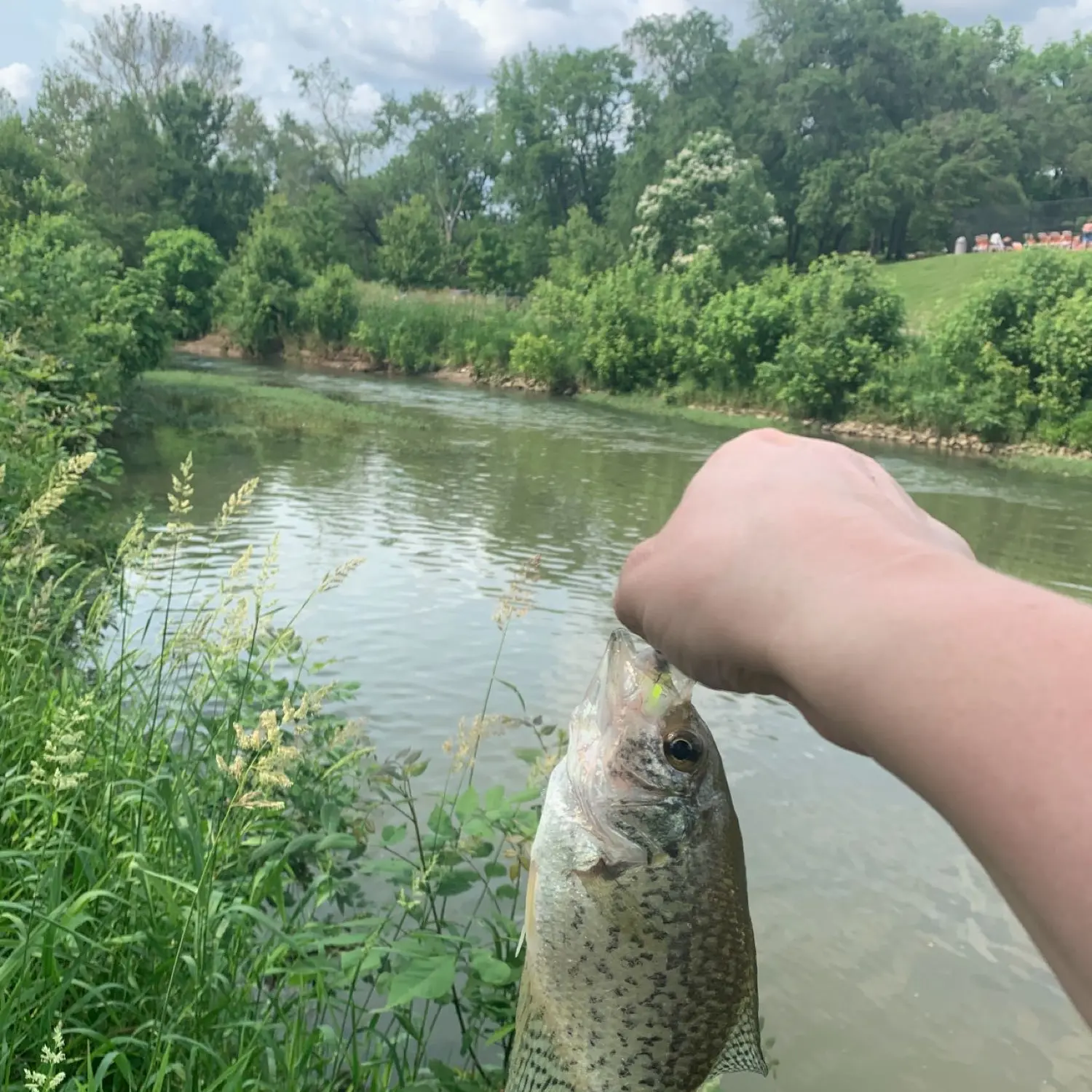 Fishing Report: The White River near Meeker, CO by Shannon Branham