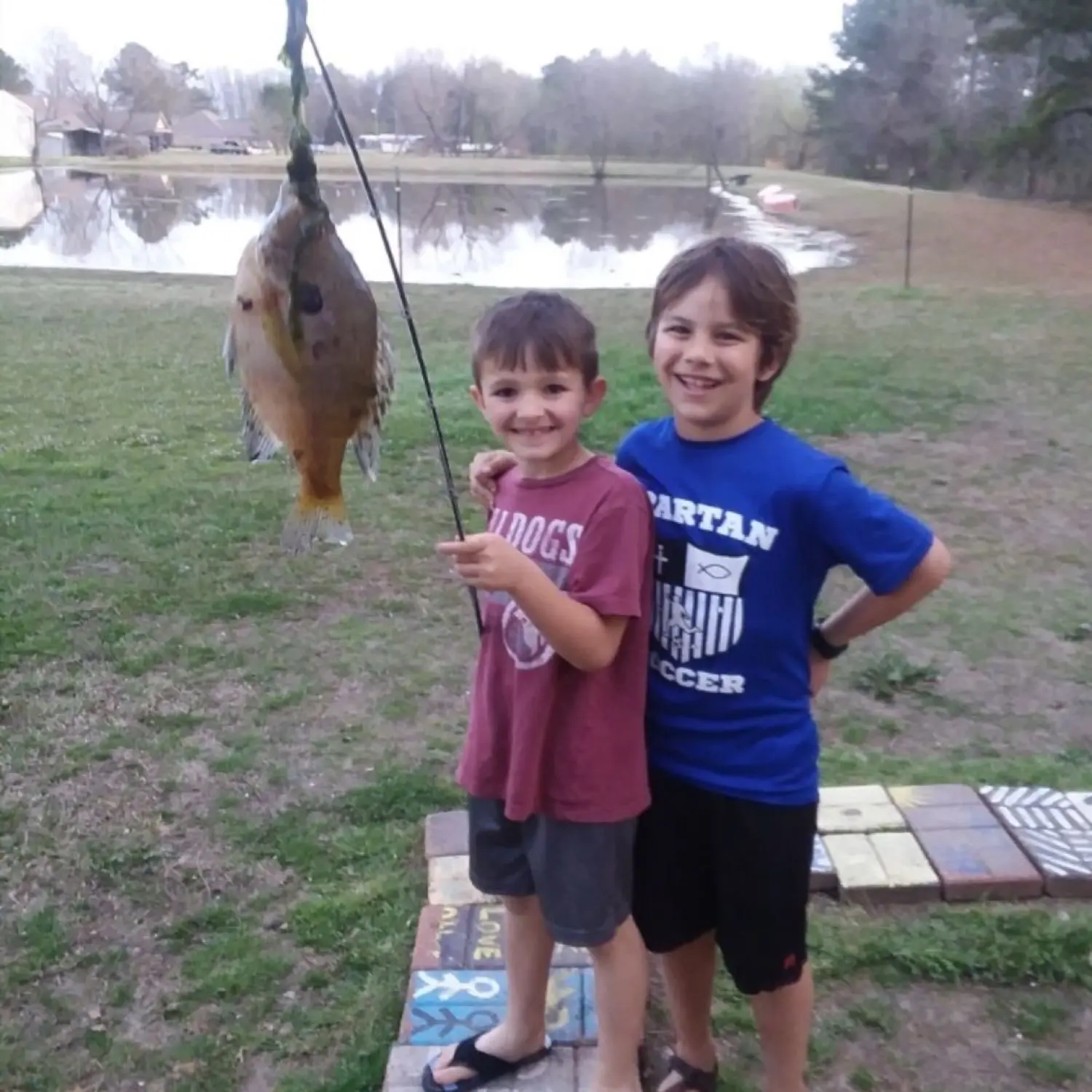 ᐅ Five County Sportsman Lake fishing reports🎣• Tupelo, MS (United ...