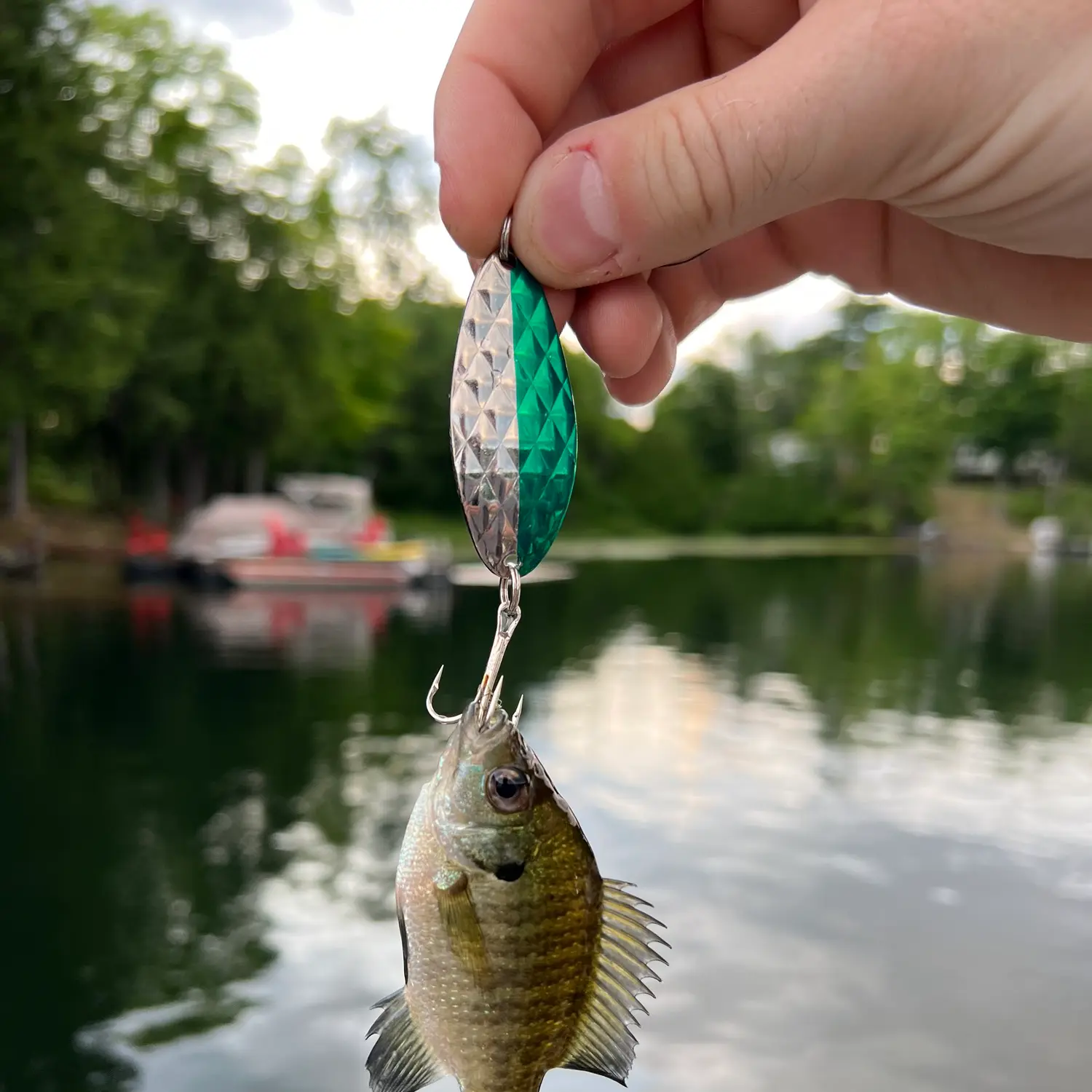 LORALEE, THE 10-YEAR-OLD FISH MAGNET – 139 FISH @ BELTON