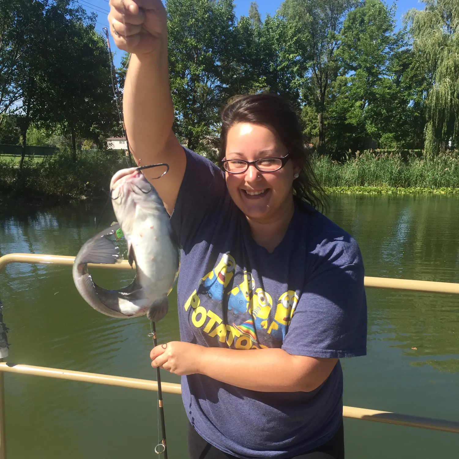 ᐅ Crawdad Slough fishing reports🎣• Hickory Hills, IL (United States)  fishing