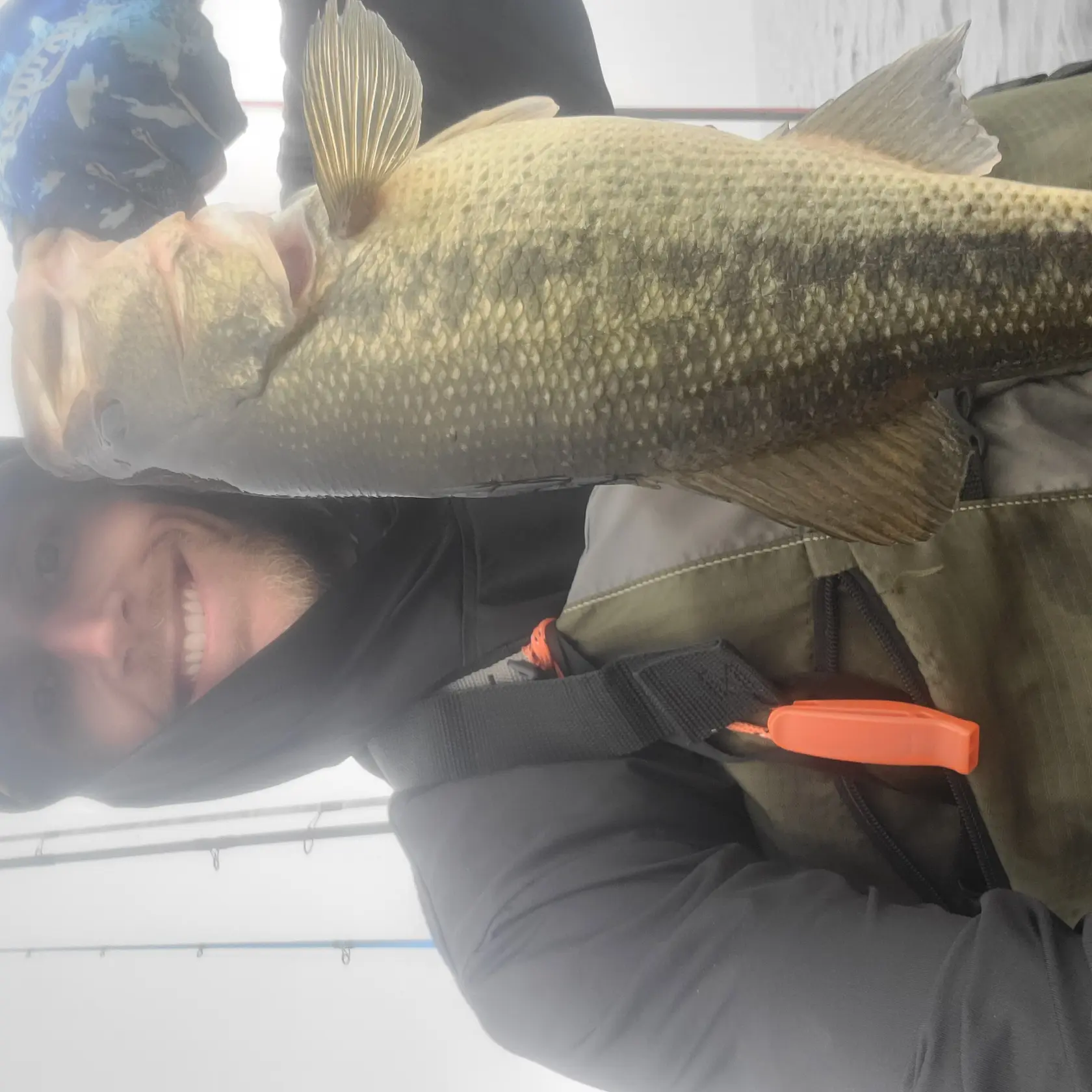 ᐅ South Manistique Lake fishing reports🎣• MI, United States fishing