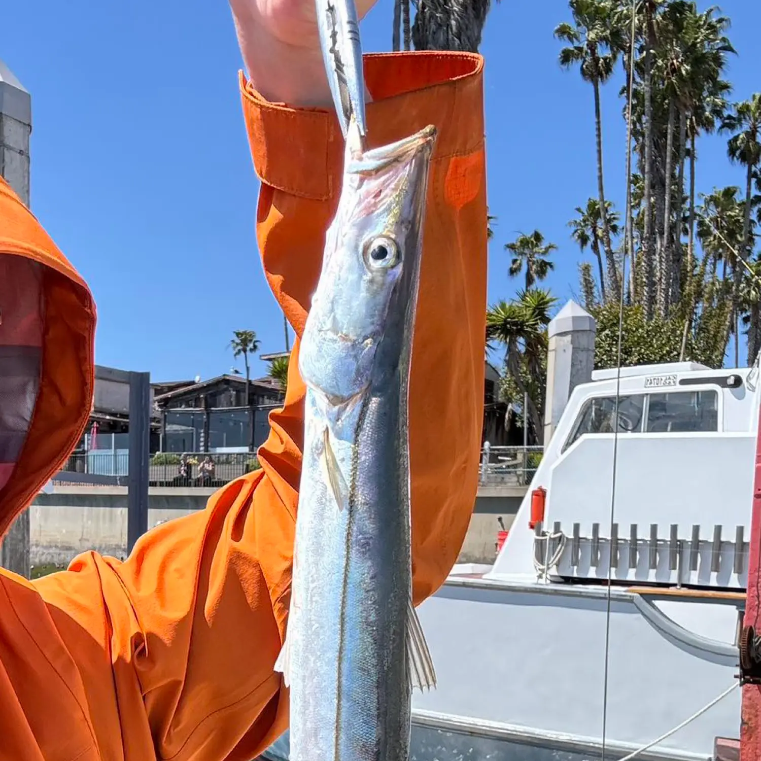 Marina del Rey fishing day!! #marinadelrey #fishinglife #california #s