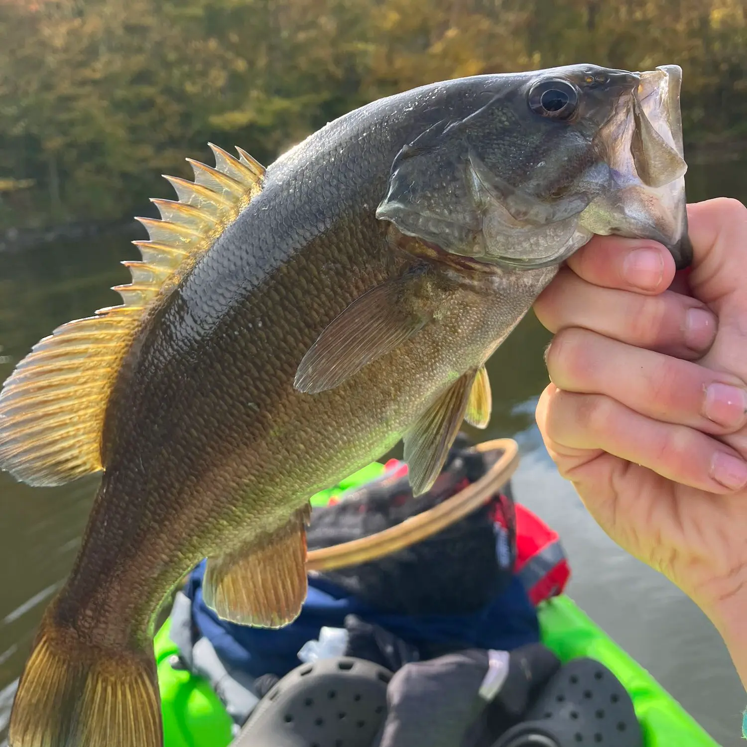 ᐅ Chittenden Reservoir fishing reports🎣• Rutland, VT (United States ...