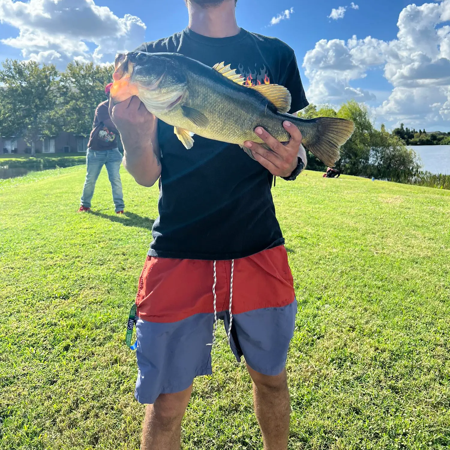 ᐅ Valrico Lake fishing reports🎣• Brandon, FL (United States) fishing