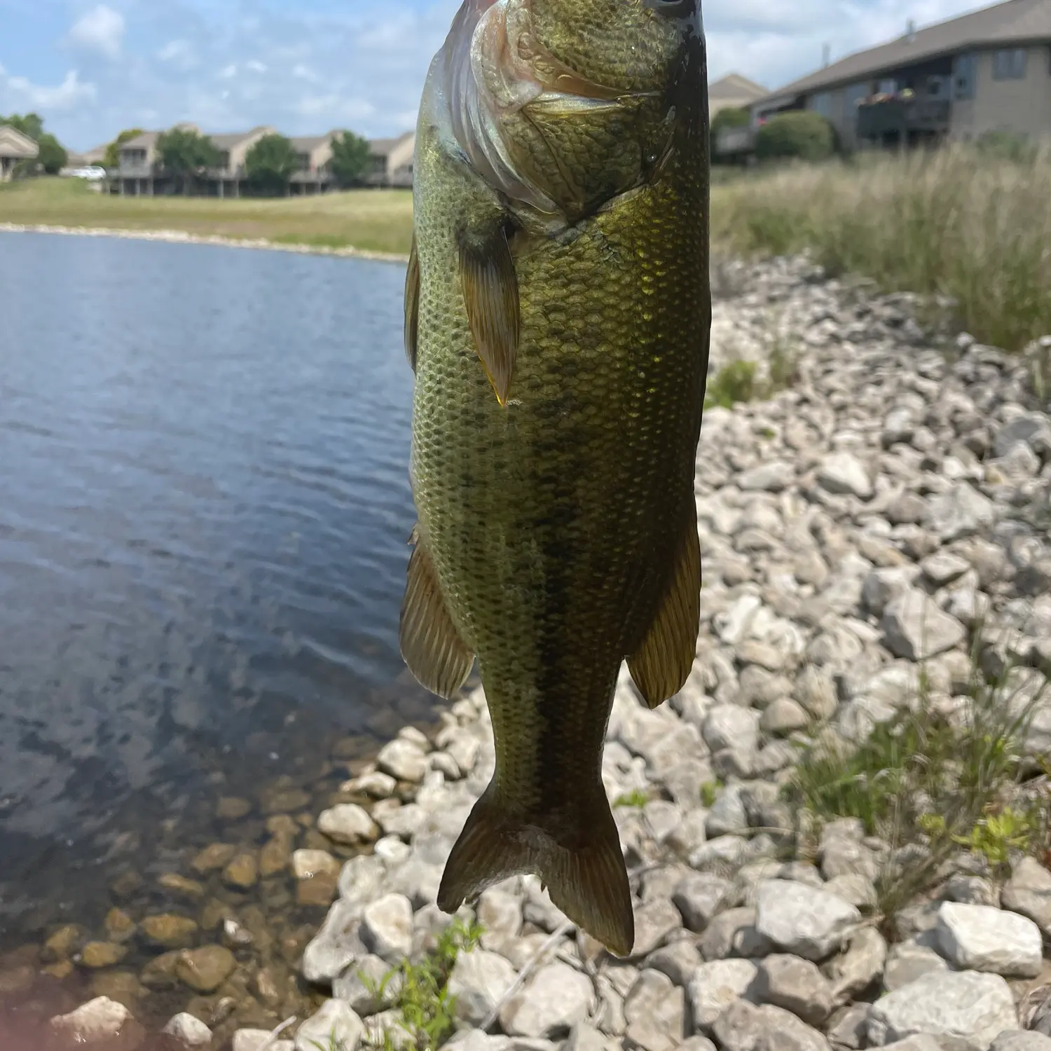 ᐅ Muskegon Lake fishing reports🎣• Muskegon, MI (United States) fishing