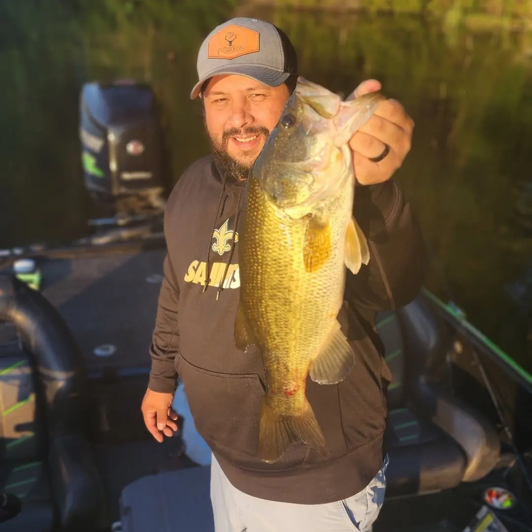 ᐅ Simpson Legion State Fishing Lake fishing reports🎣• Brandon, MS ...