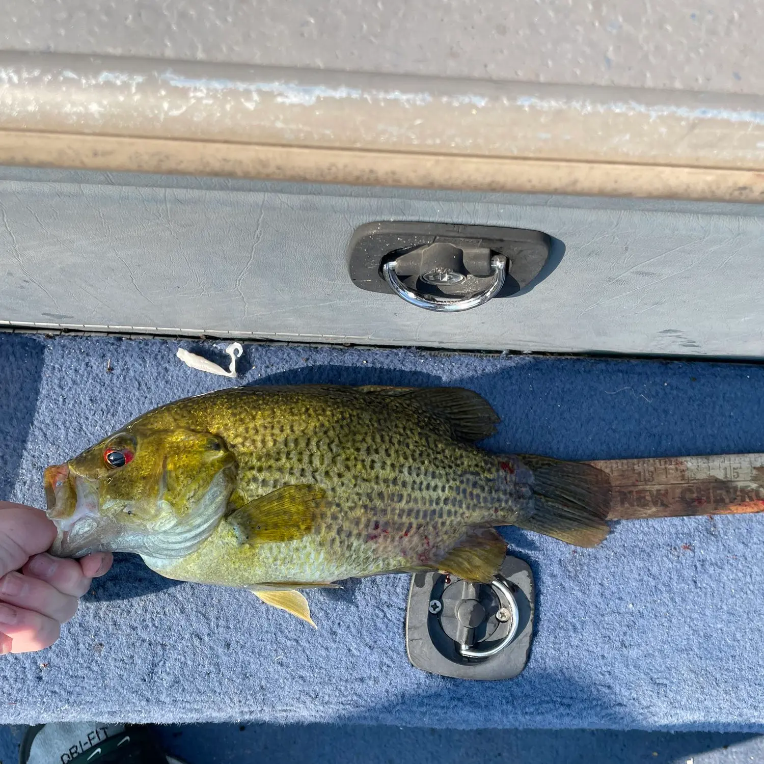 ᐅ Lake Leelanau fishing reports🎣• Traverse City, MI (United States) fishing