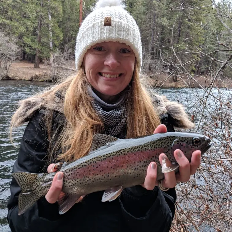 Fishing for Rainbow trout near you