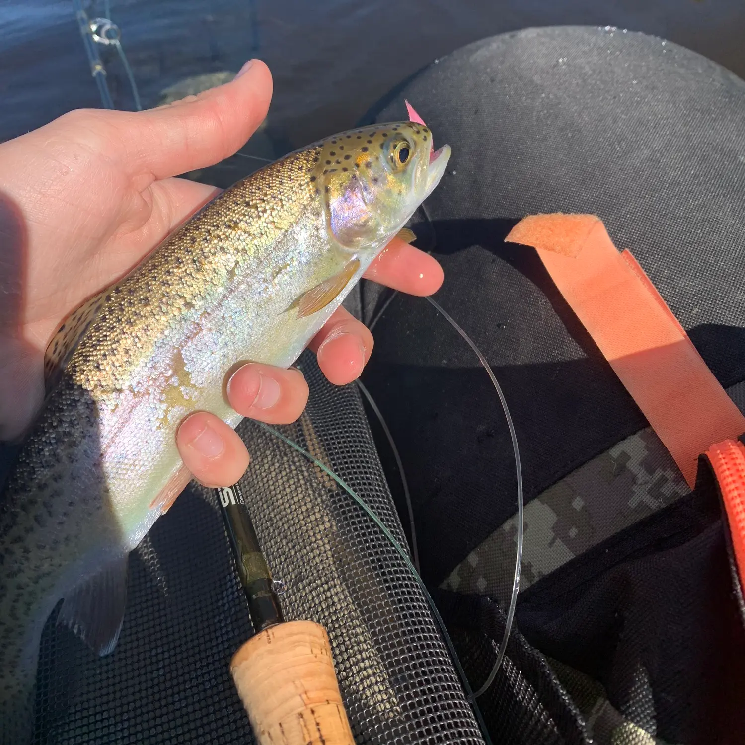 ᐅ Upper Rock Creek Reservoir fishing reports🎣• Riverton, WY (United ...