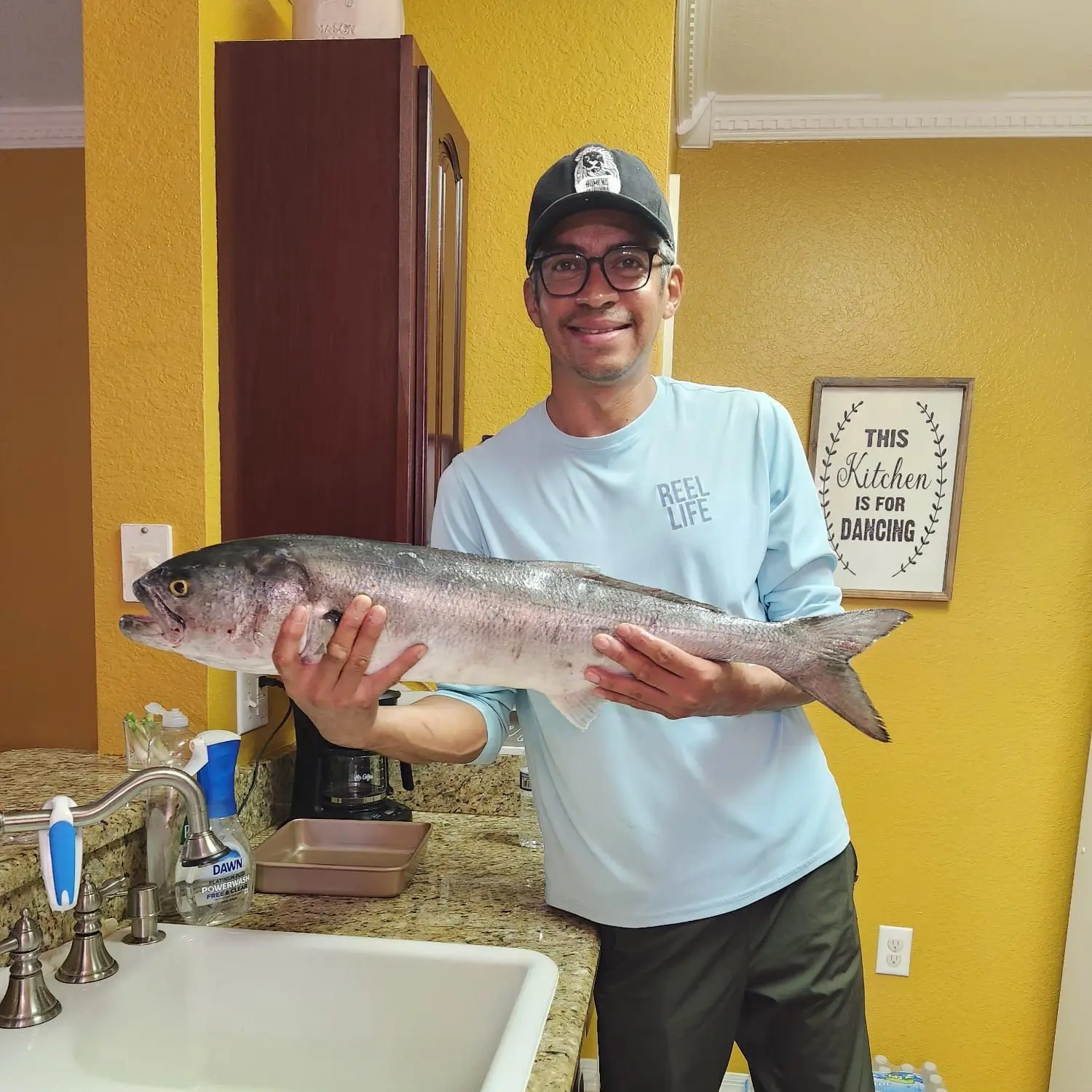 ᐅ Ponce de Leon Inlet fishing reports🎣• New Smyrna Beach, FL (United  States) fishing