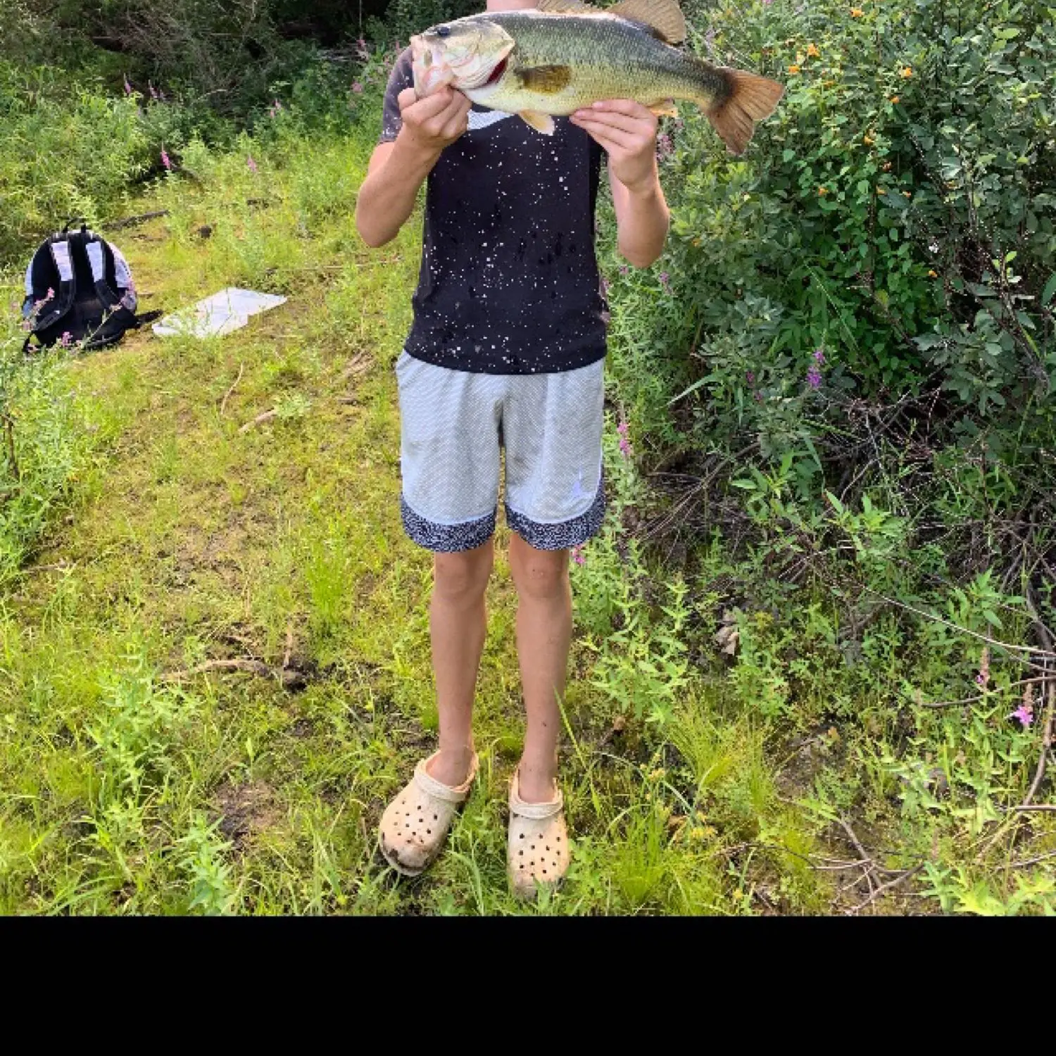 ᐅ Beaver Pond fishing reports🎣• Hooksett, NH (United States) fishing