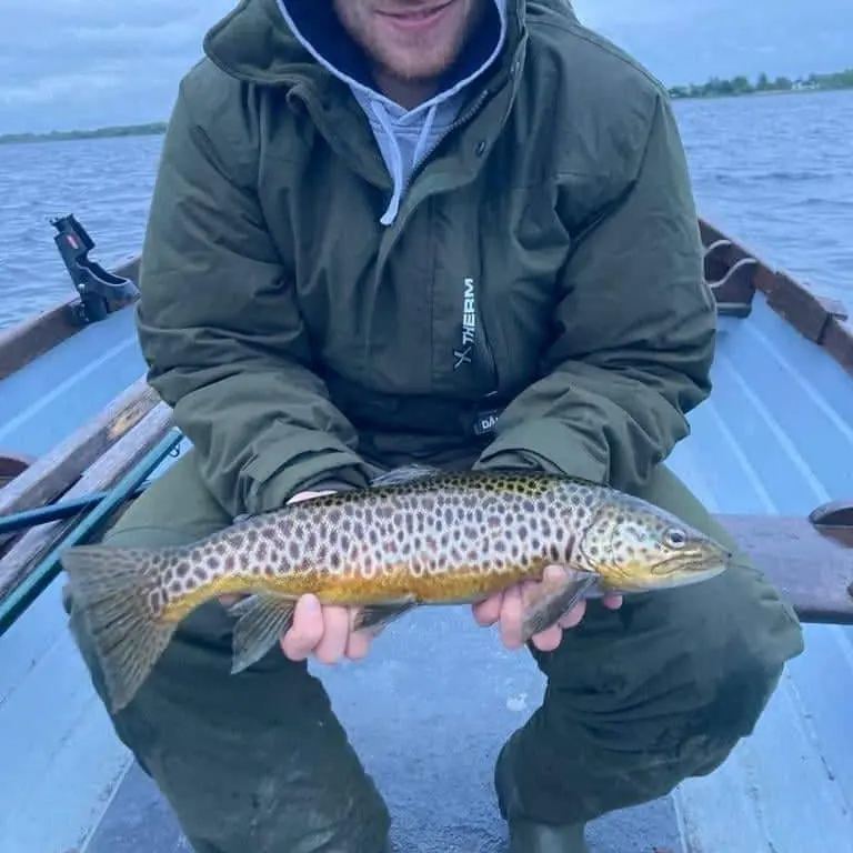 ᐅ Robe River fishing reports🎣• Connaught, Ireland fishing