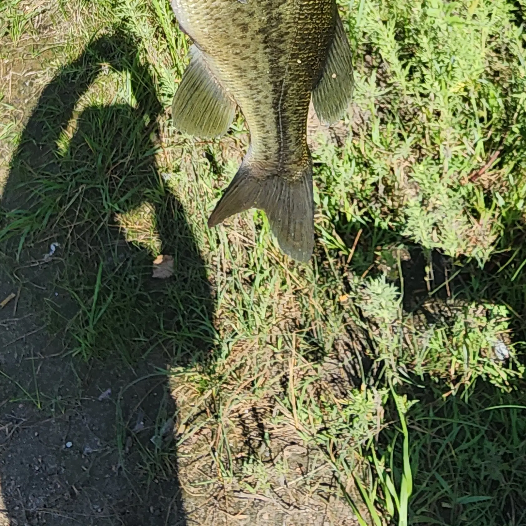 ᐅ Cozad Lake fishing reports🎣• North Platte, NE (United States) fishing