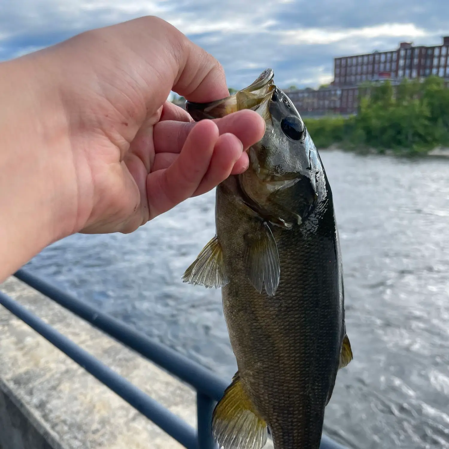 Fishing near Franklin in Merrimack County, New Hampshire - NH Fish