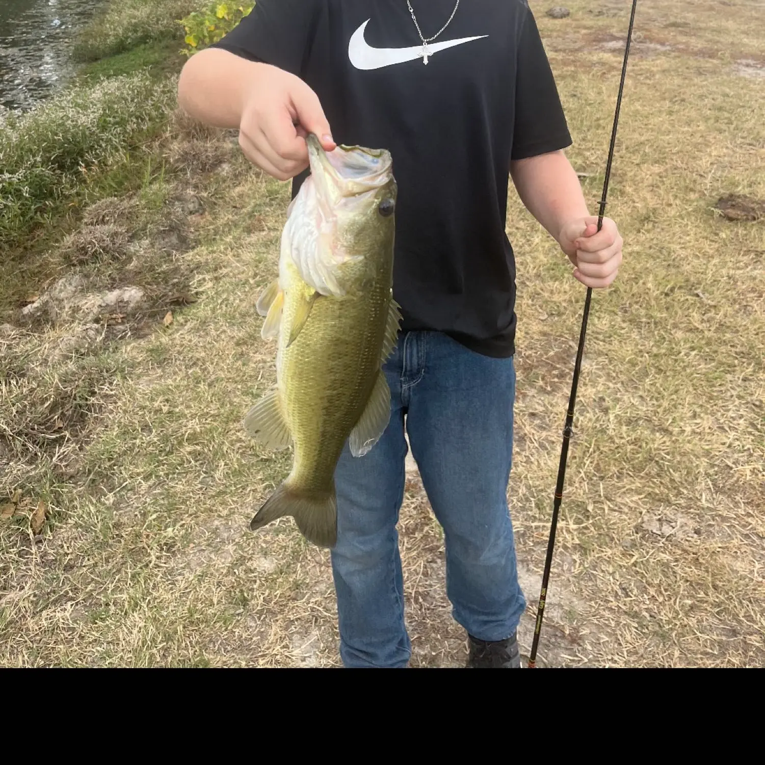 ᐅ Bedias Lake fishing reports🎣• The Woodlands, TX (United States) fishing