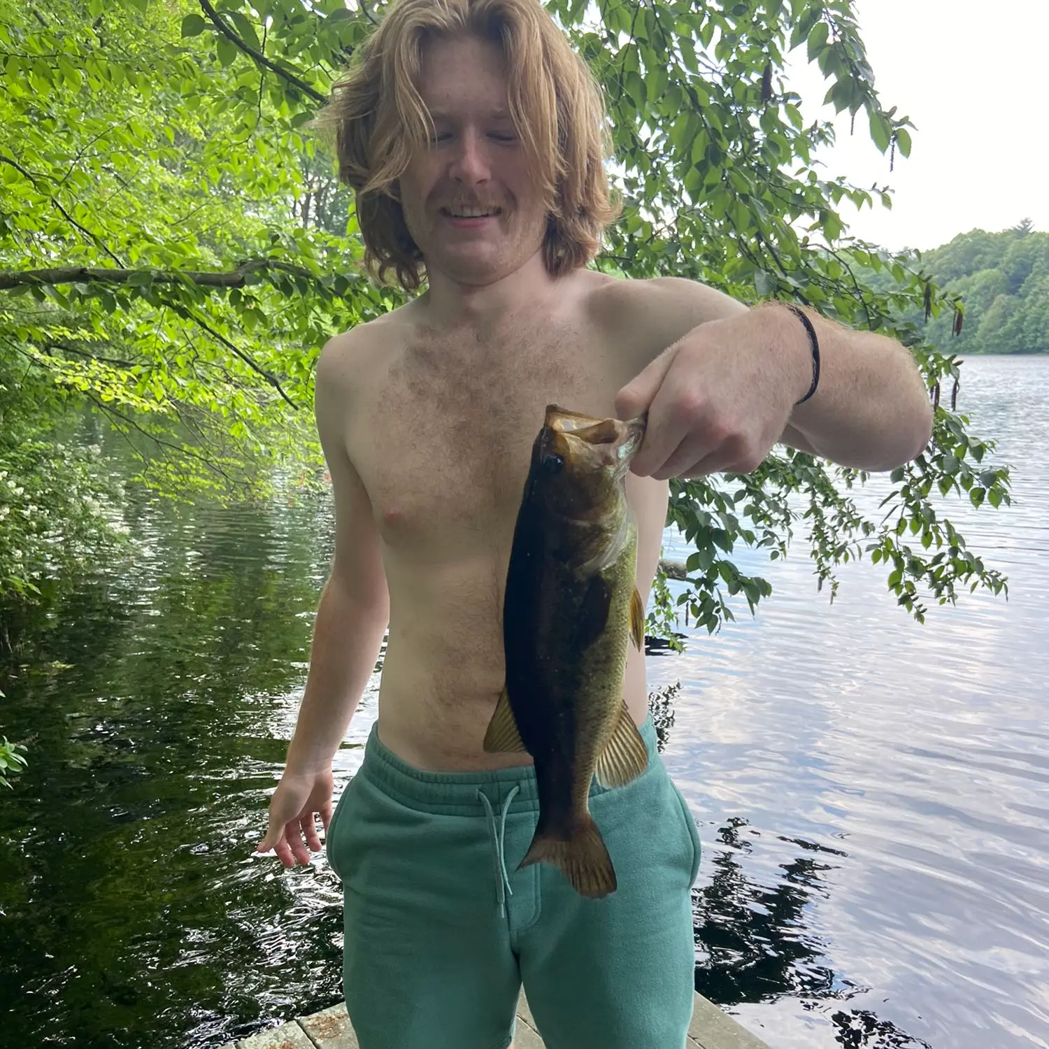 Beaumont Pond fishing reports Foxborough MA United States