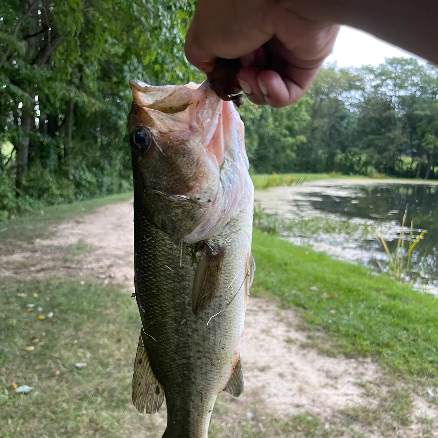 ᐅ Cabin Creek Reservoir fishing reports🎣• Springettsbury, PA