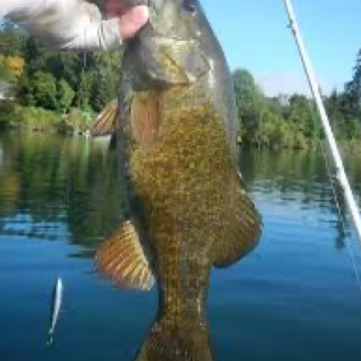 Tualatin River Fall Fishing 