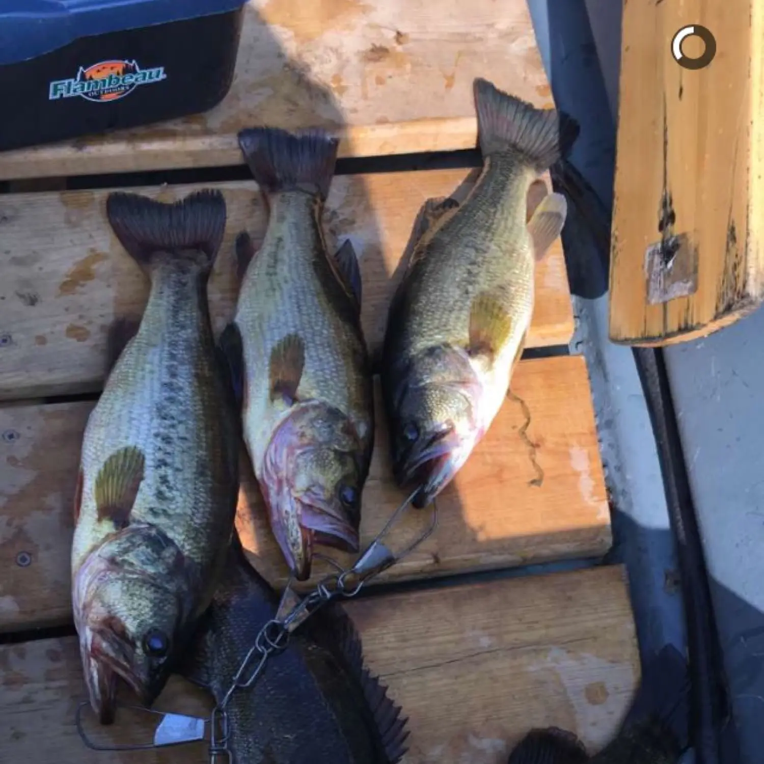 Fishing on Weslemkoon Lake - Naturally Lennox & Addington