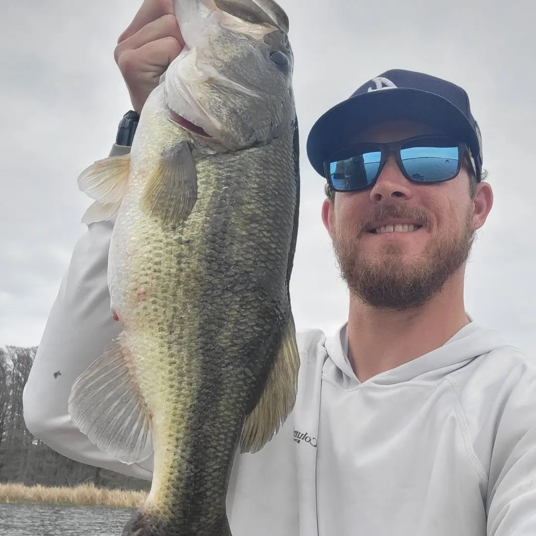 ᐅ Wapanocca Lake fishing reports🎣• Marion, AR (United States) fishing