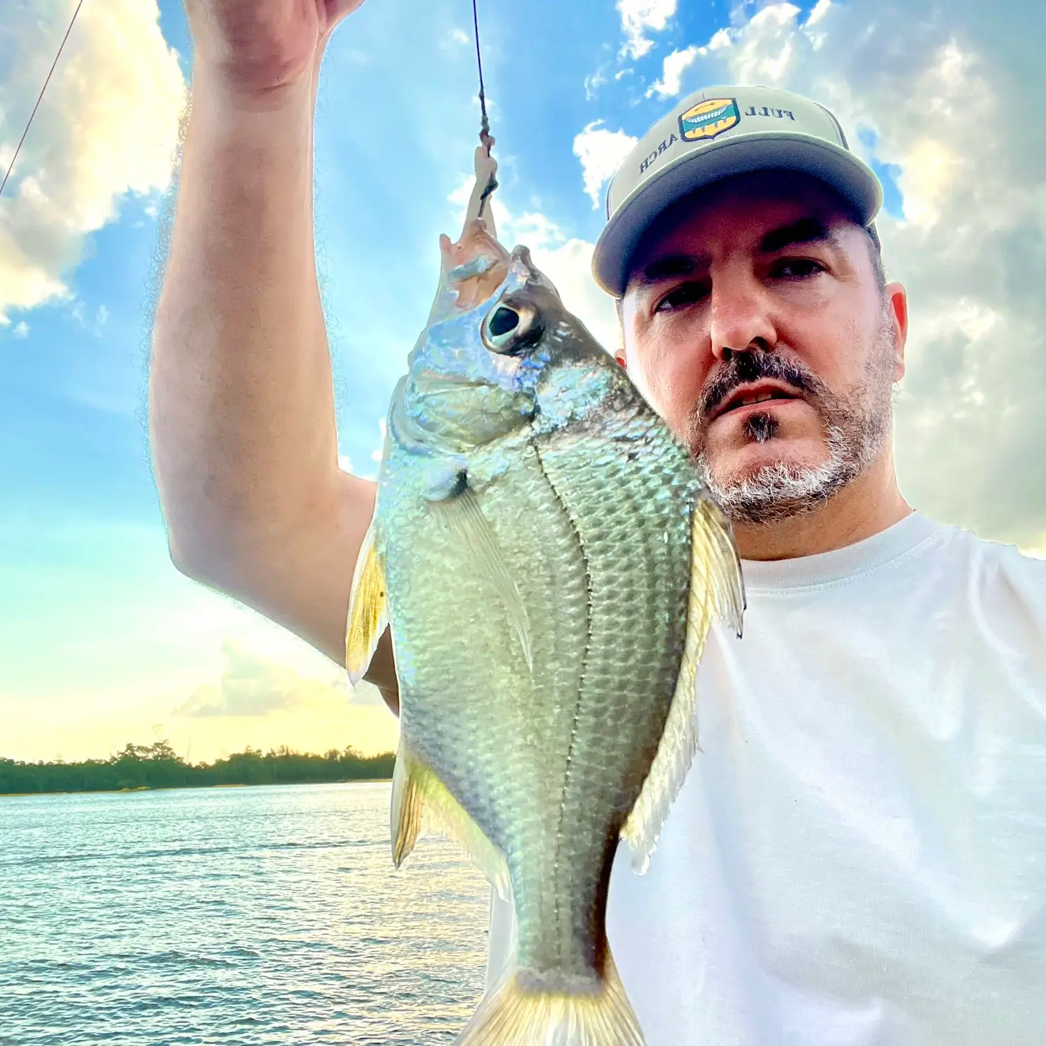 ᐅ Dania Cut-Off Canal fishing reports🎣• Dania Beach, FL (United States)  fishing