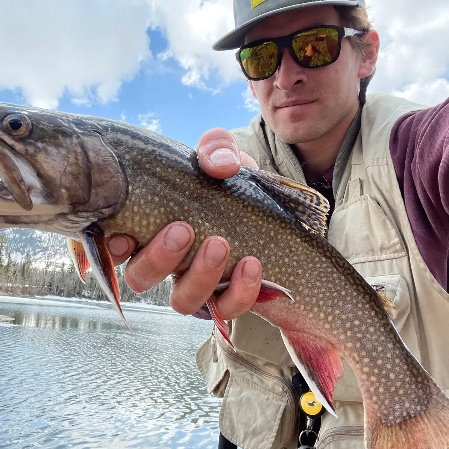 ᐅ Donkey Reservoir fishing reports🎣• UT, United States fishing