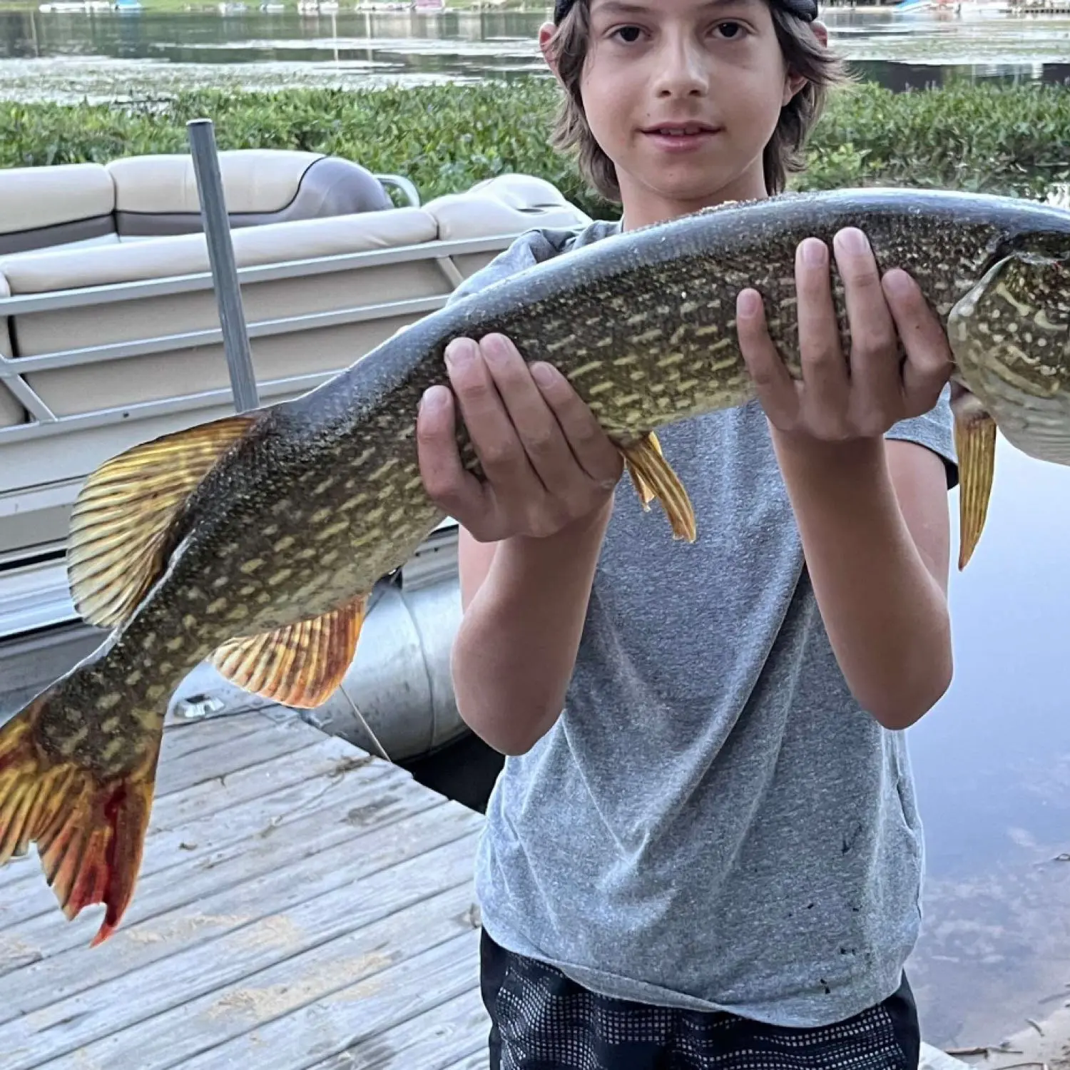 Chippewa Lake fishing reports Big Rapids MI United States