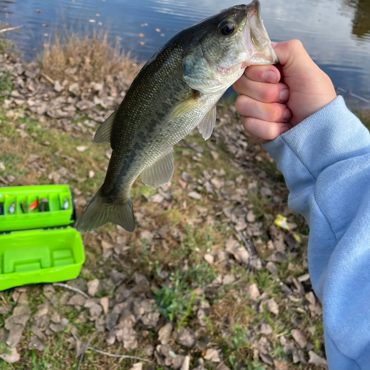 ᐅ McDonalds Ponds fishing reports🎣• Pequannock, NJ (United States) fishing