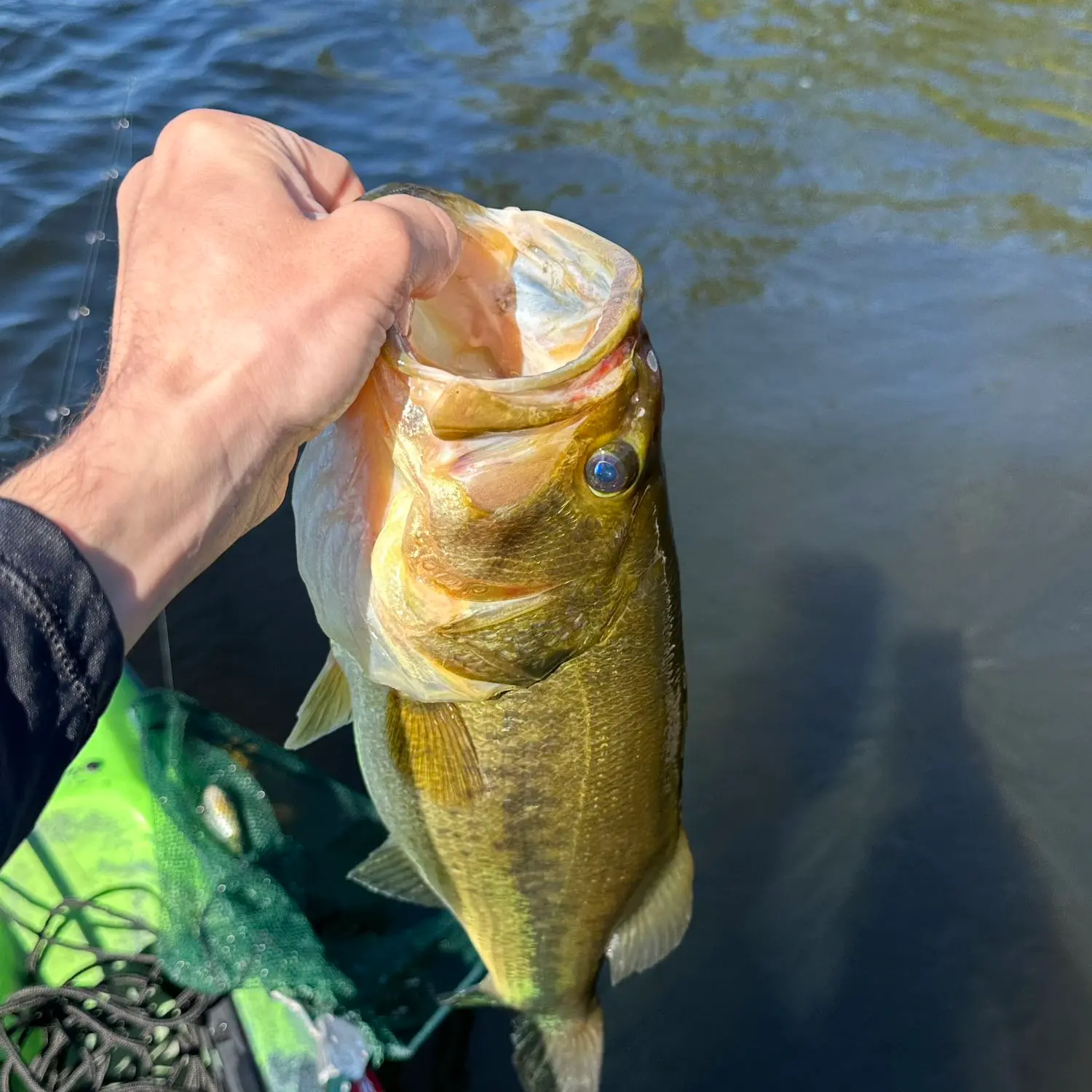 ᐅ Foss Pond fishing reports🎣• Rochester, NH (United States) fishing