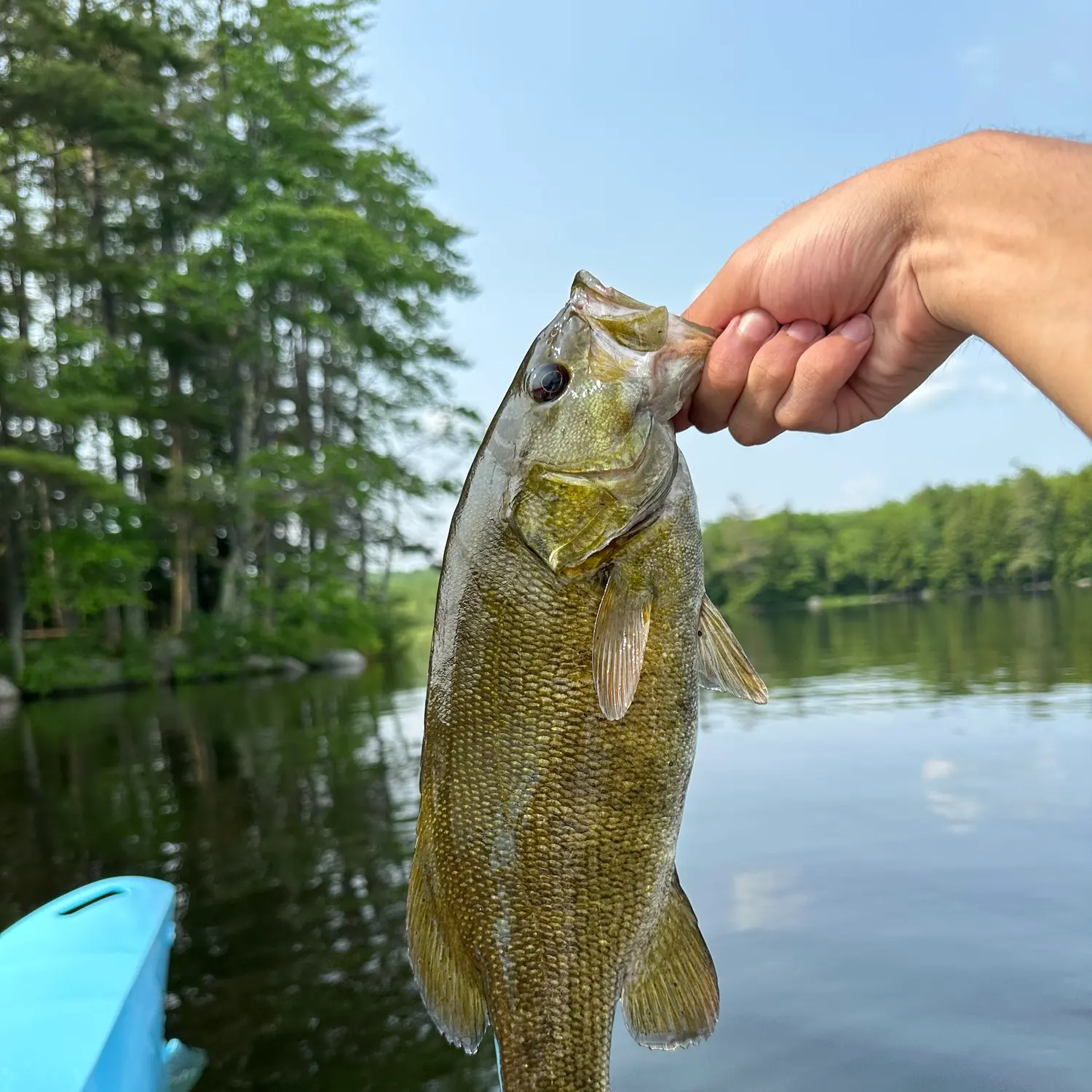 George Wyth Lake Fishing Report for Largemouth Bass(Sep 5, 2021)