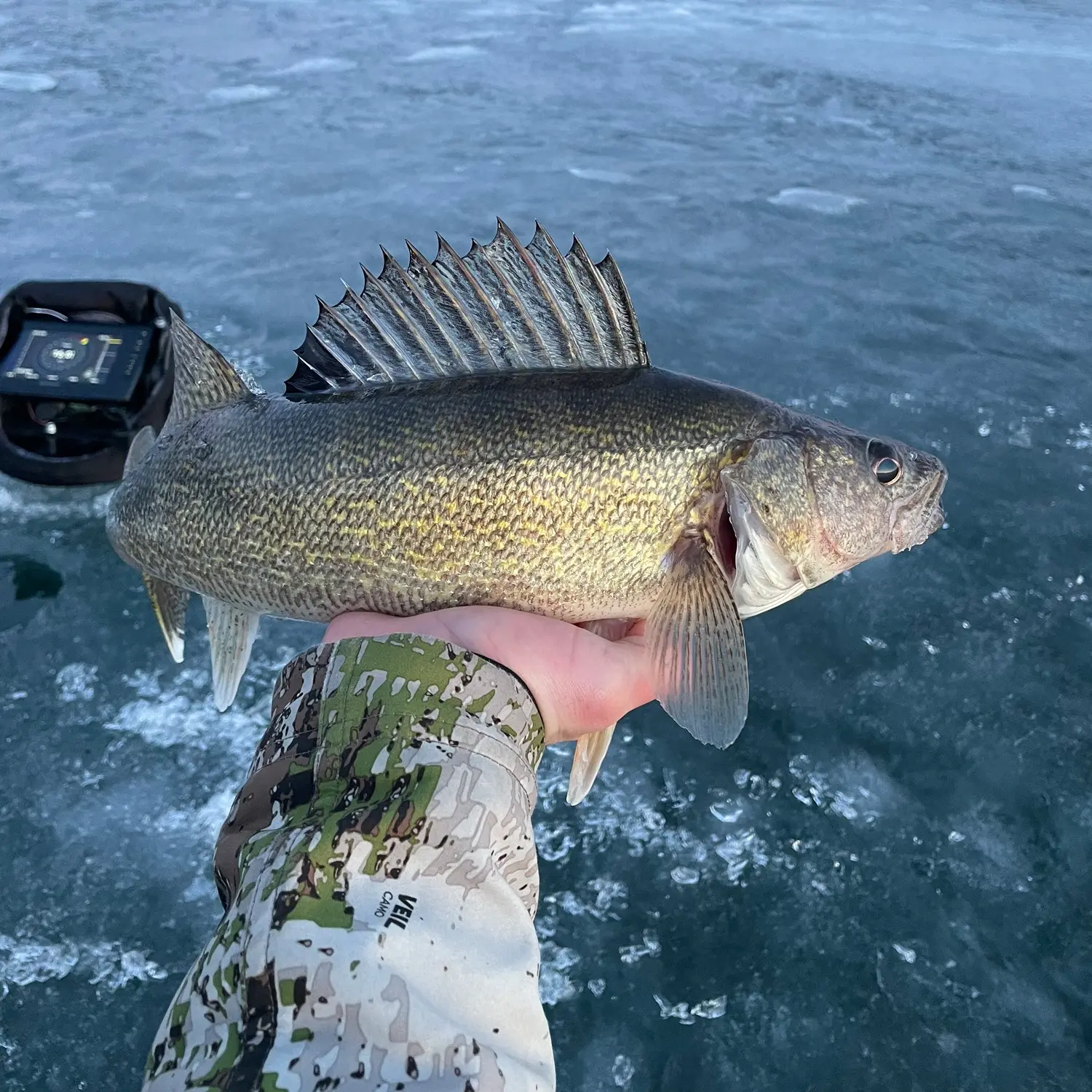 ᐅ North Center Lake fishing reports🎣• Forest Lake, MN (United States ...