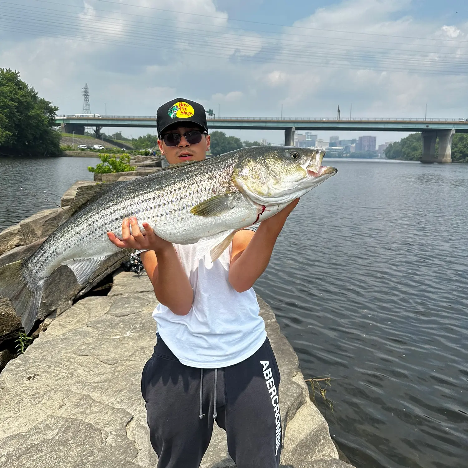 ᐅ Willow Brook fishing reports🎣• East Hartford, CT (United States) fishing
