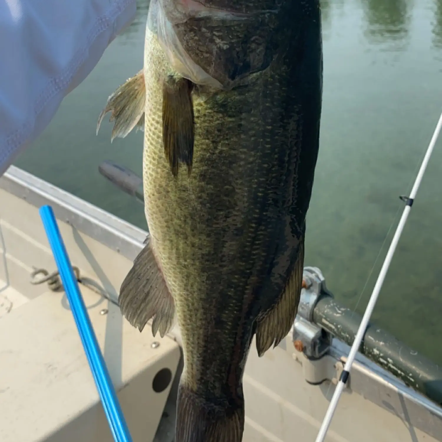 ᐅ Turtle Lake fishing reports🎣• Traverse City, MI (United States) fishing