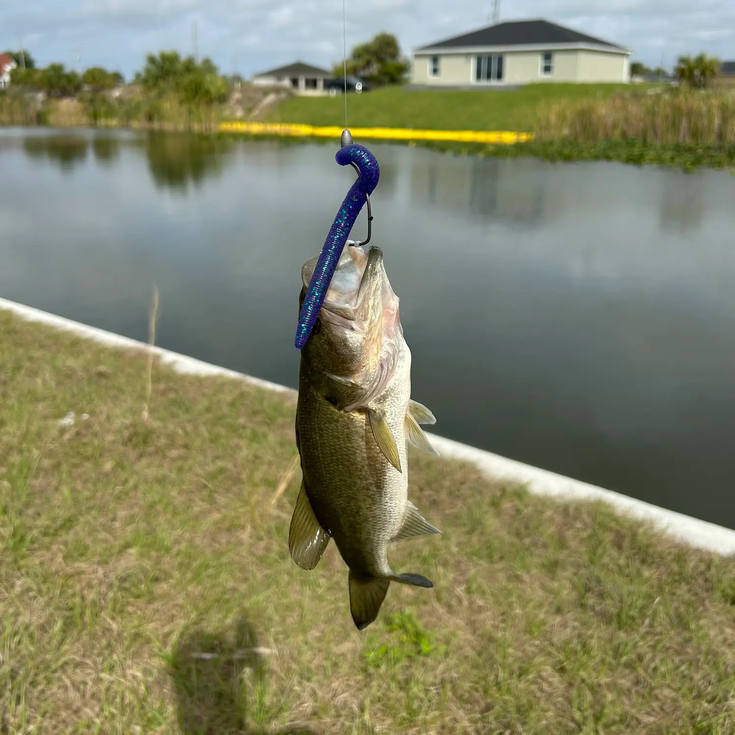 ᐅ Yucca Pen Creek fishing reports🎣• Cape Coral, FL (United States) fishing