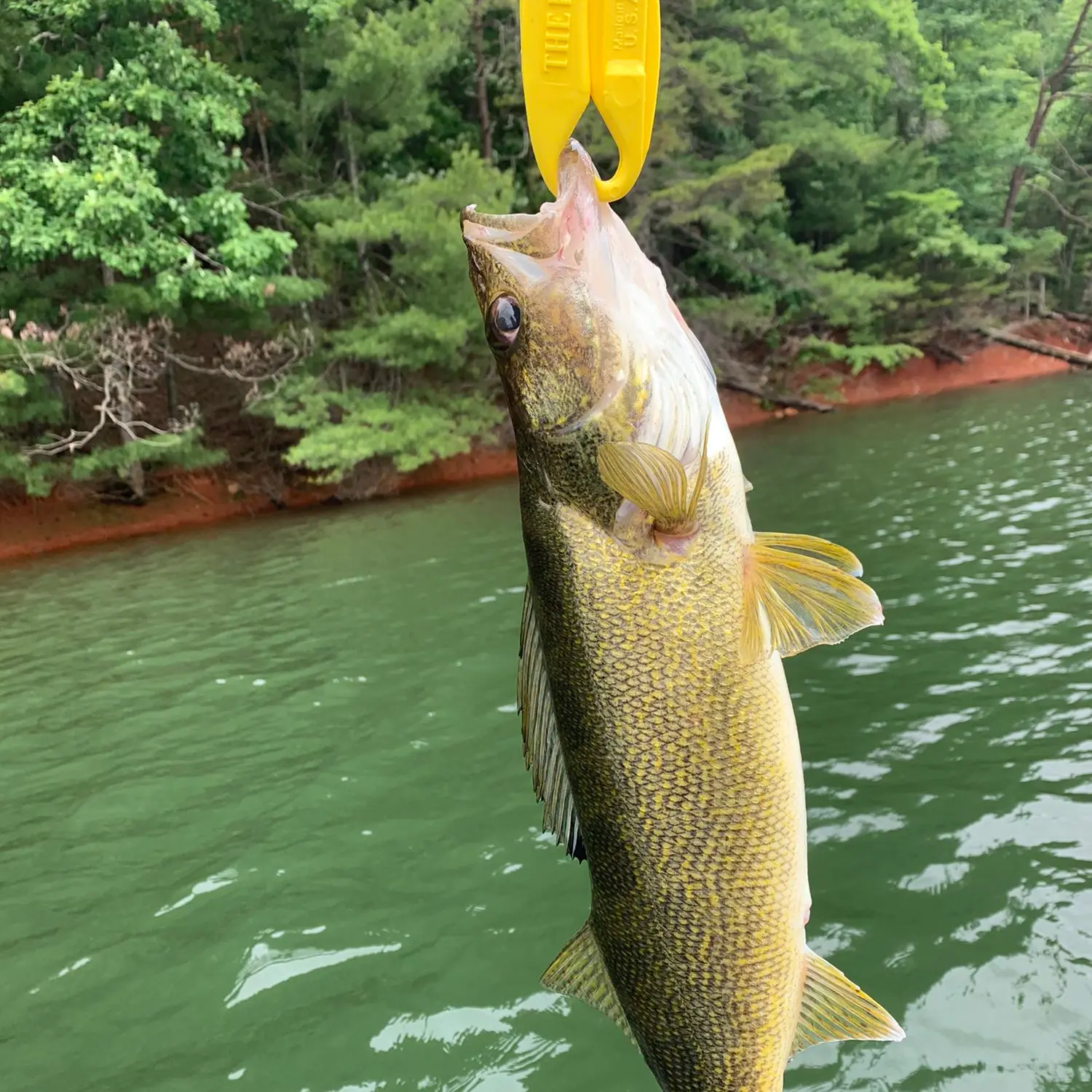 Fishing the Sandy River, Local&State