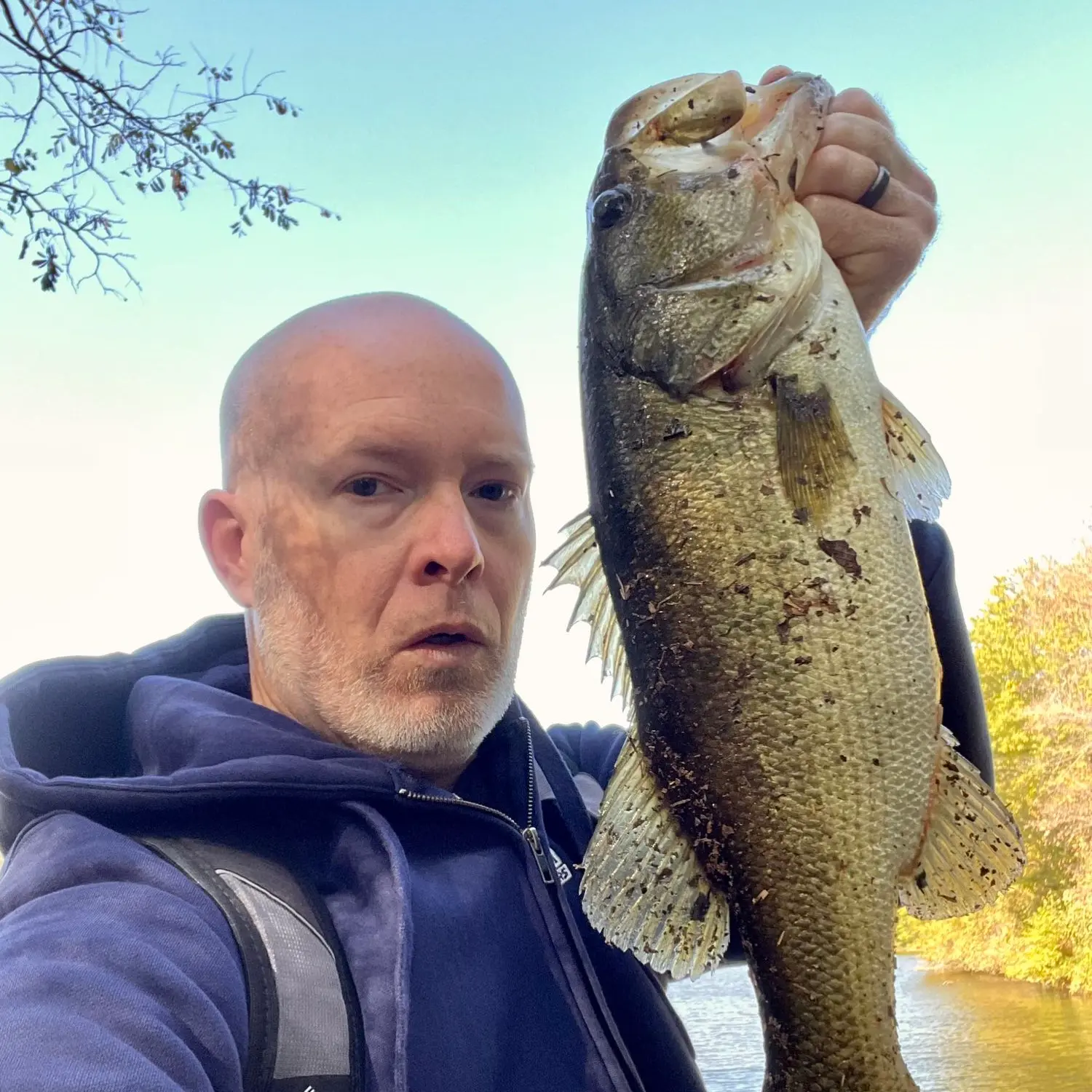 ᐅ Lake McKellar fishing reports🎣• West Memphis, TN (United States) fishing