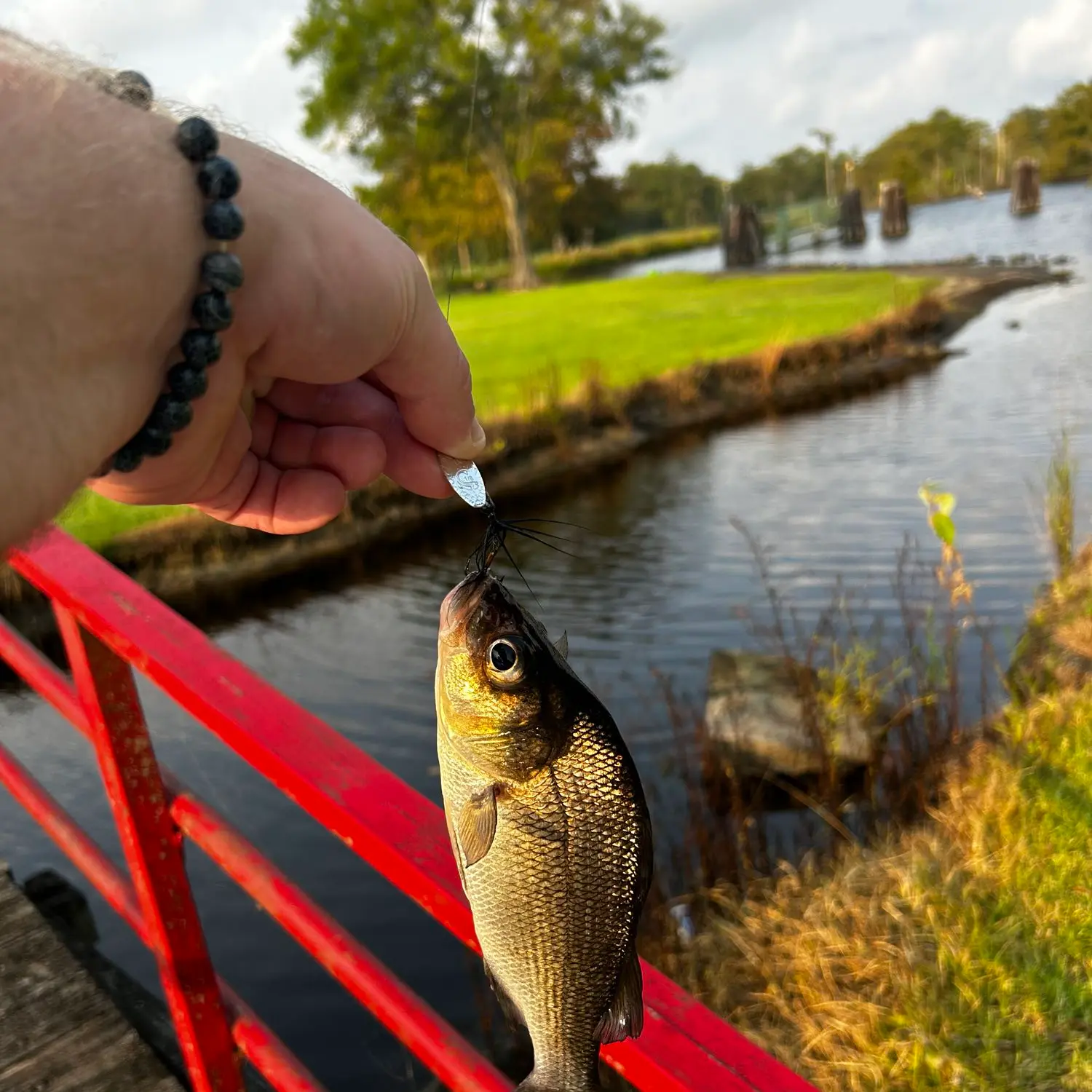 ᐅ Pasquotank River fishing reports🎣• Elizabeth City, NC (United States ...