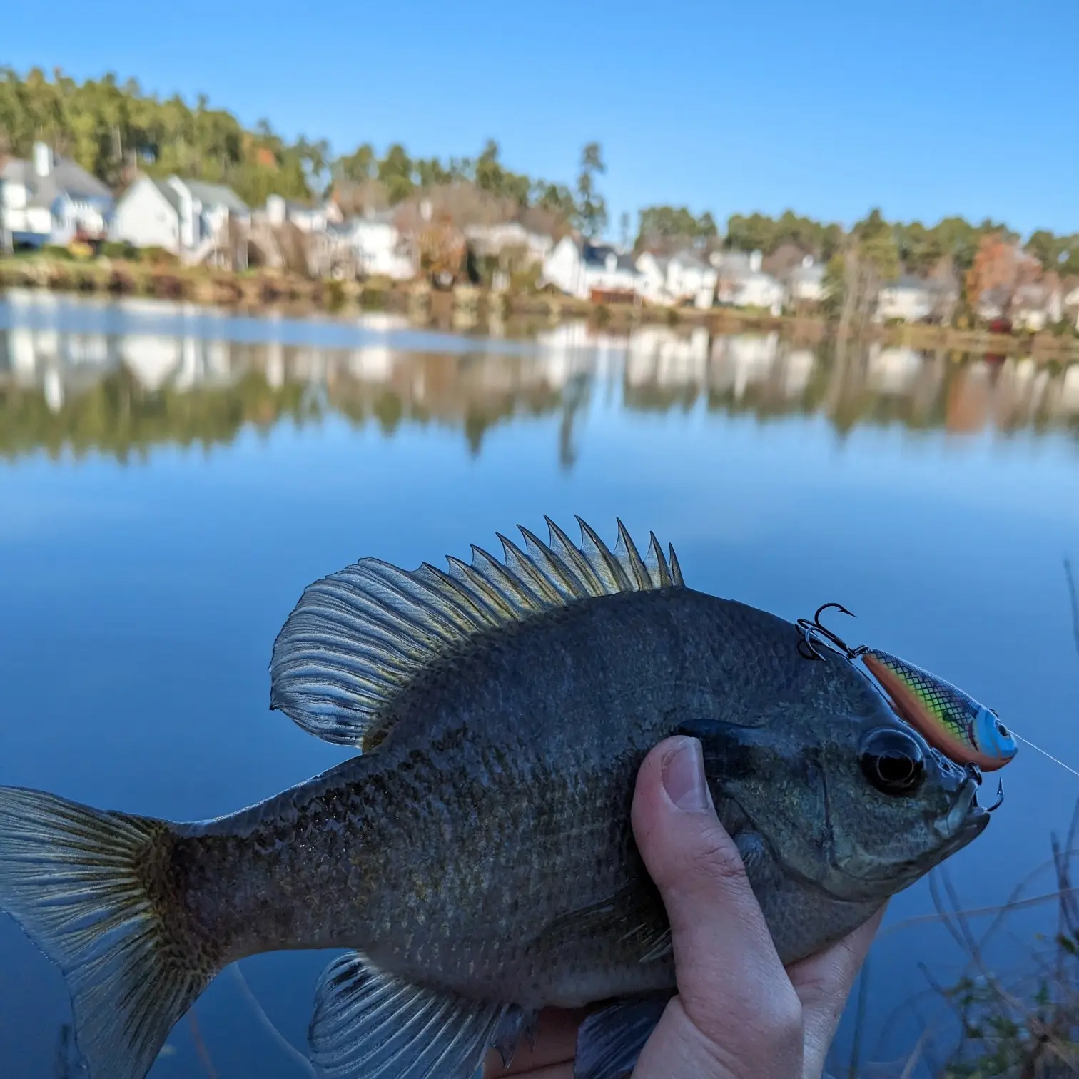 Fish with Curved Tail Hook - The Roycroft Campus Corporation