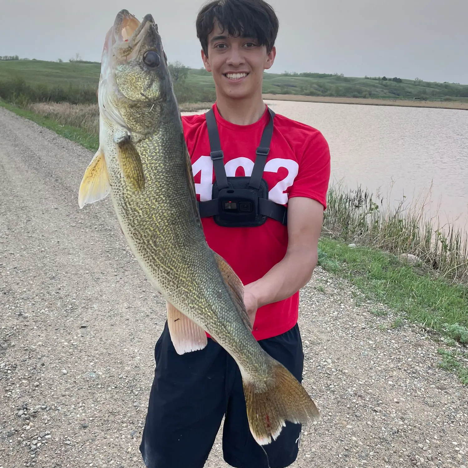 ᐅ Rice Lake Fishing Reports🎣• Minot, Nd (united States) Fishing