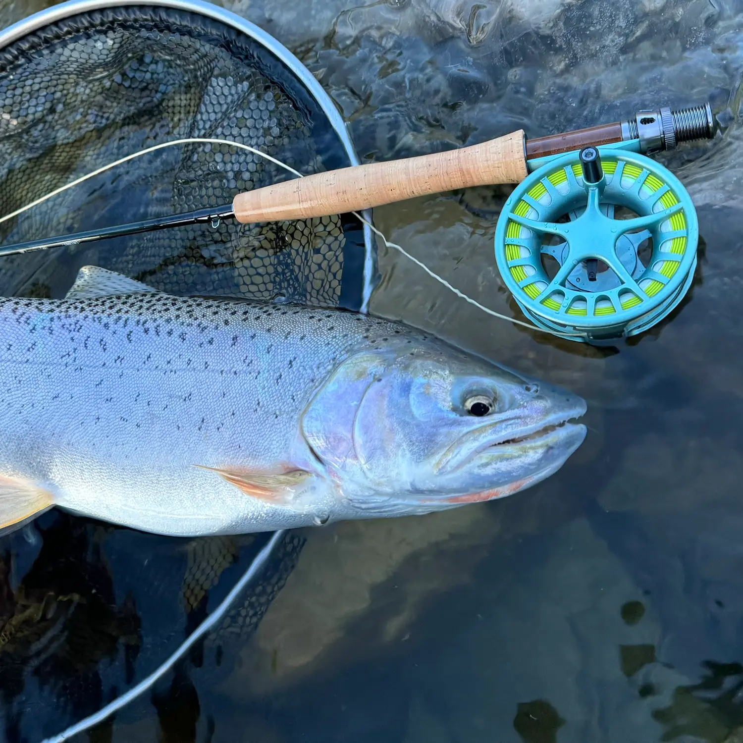 Jigging for Cutthroat Trout at Bear Lake 