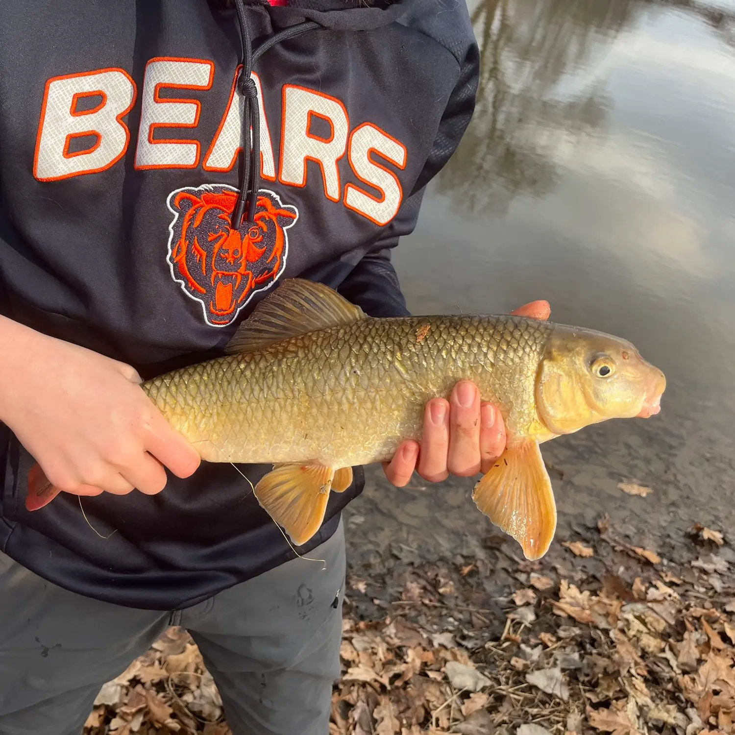 Chippewa River fishing reports Midland MI United States